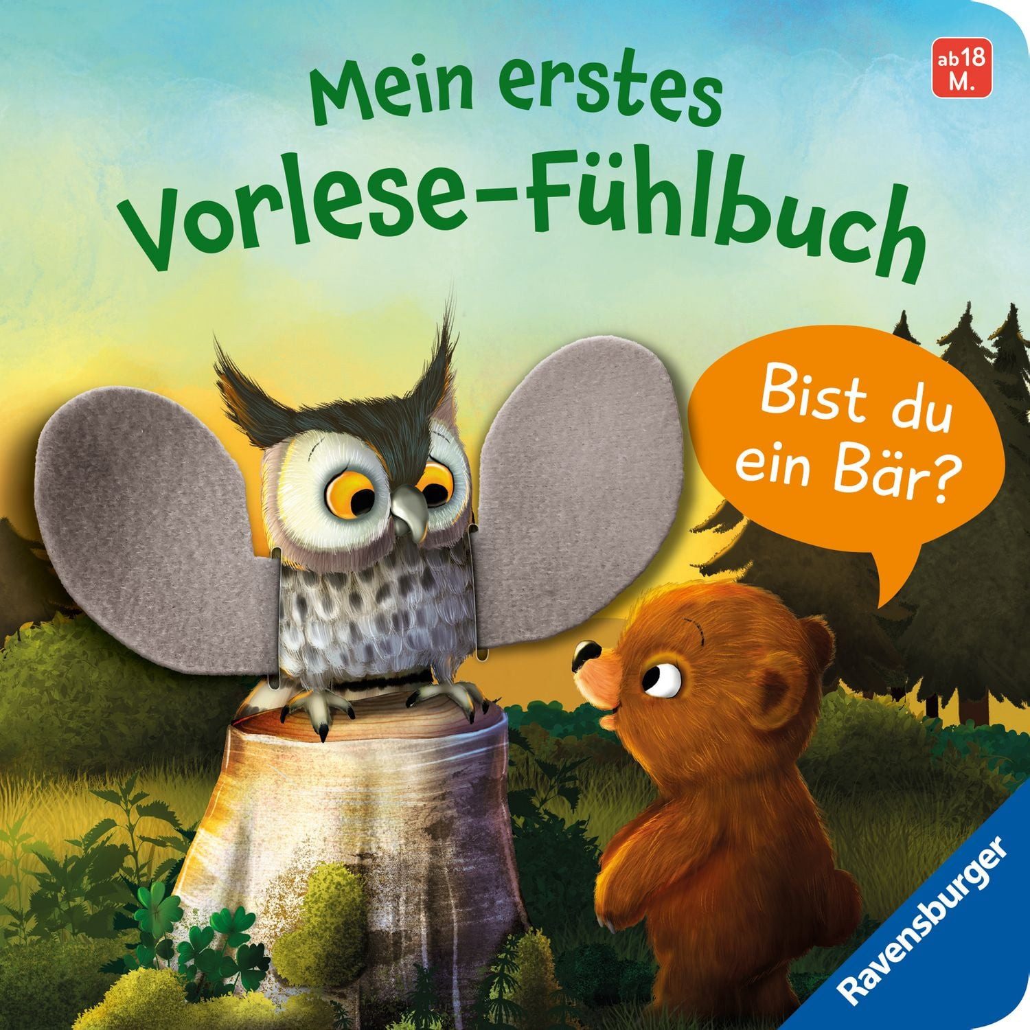 Kinderbuch Mein erstes Vorlese-Fühlbuch - Bist du ein Bär? Kathrin Lena Orso