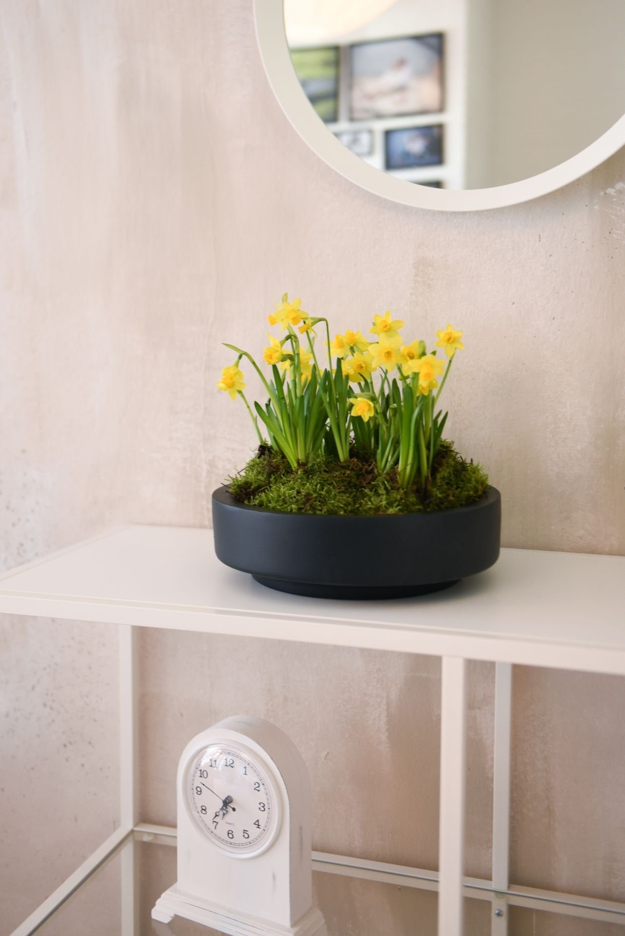 VIVANNO Pflanzschale Fiberglas ESCADA LOW Schale - Anthrazit Matt (1 St), 30x30x9 cm