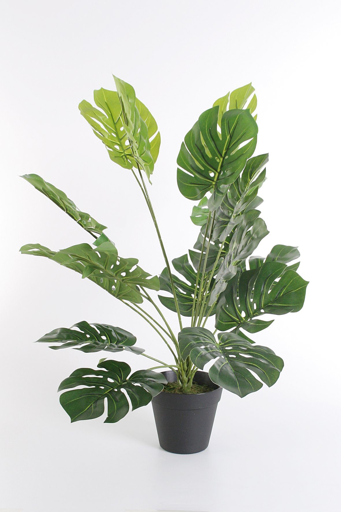 Kunstpflanze Zimmerpflanze Monstera, Wackadoo Living, Höhe 60 cm