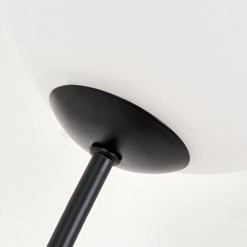 hofstein Stehlampe Stehlampe aus Metall/Glas in Schwarz/Weiß, ohne Leuchtmittel, Leuchte mit Glasschirmen (15cm), dimmbar, 3xG9, ohne Leuchtmittel