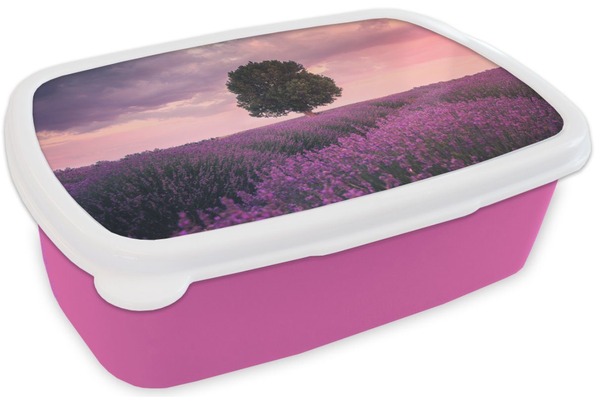 Kinder, Kunststoff Baum (2-tlg), Erwachsene, Mädchen, Lunchbox Brotbox Lila - Kunststoff, - - Blumen - Snackbox, rosa MuchoWow Natur, Lavendel für Brotdose