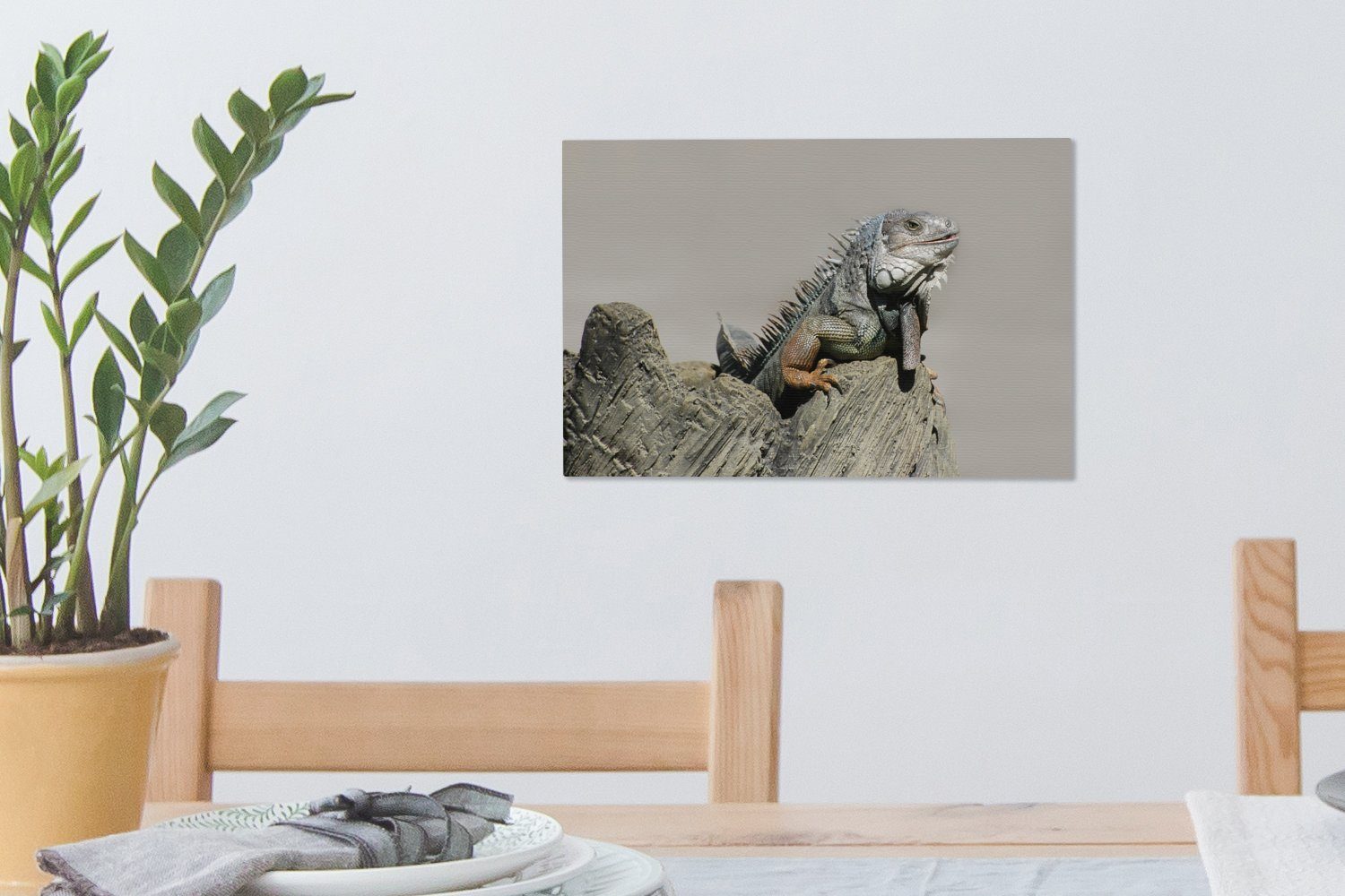 OneMillionCanvasses® Leinwandbild Leguane sitzen St), Felsen, Wanddeko, 30x20 auf einem Leinwandbilder, (1 cm Wandbild Aufhängefertig