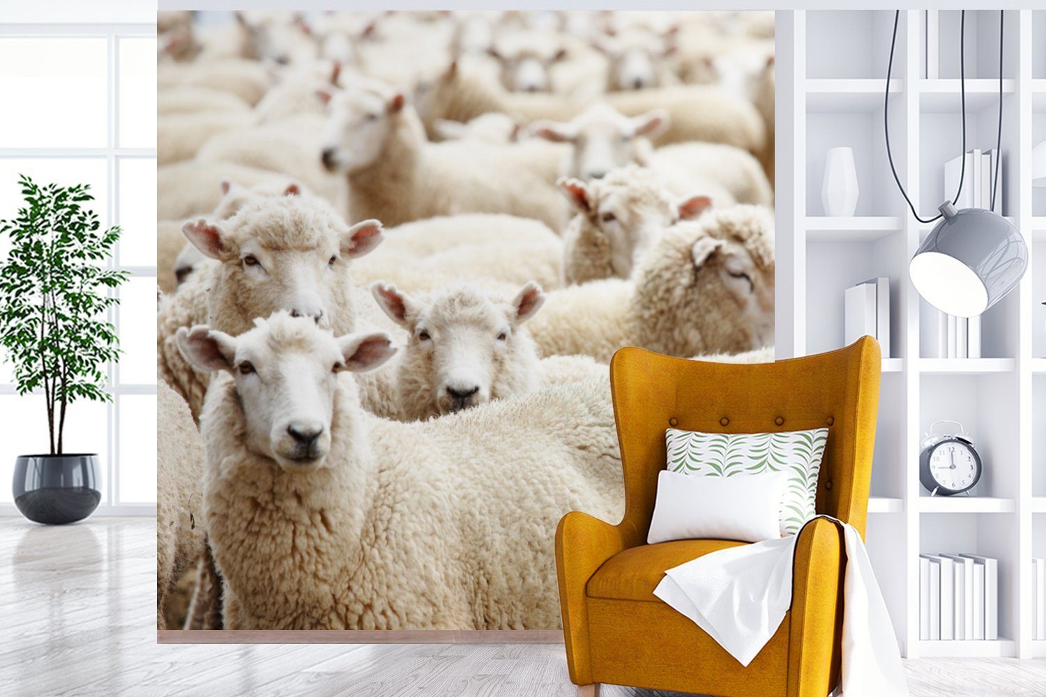 Schafe Weiß, Tapete Vinyl - oder für MuchoWow bedruckt, Wandtapete Schlafzimmer, (5 Matt, - Wohnzimmer Wolle Fototapete St),