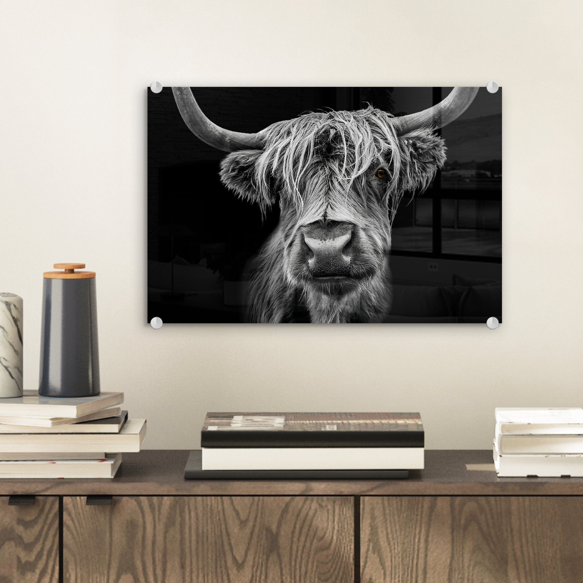 MuchoWow Acrylglasbild Schottischer Highlander - Hörner günstig online kaufen