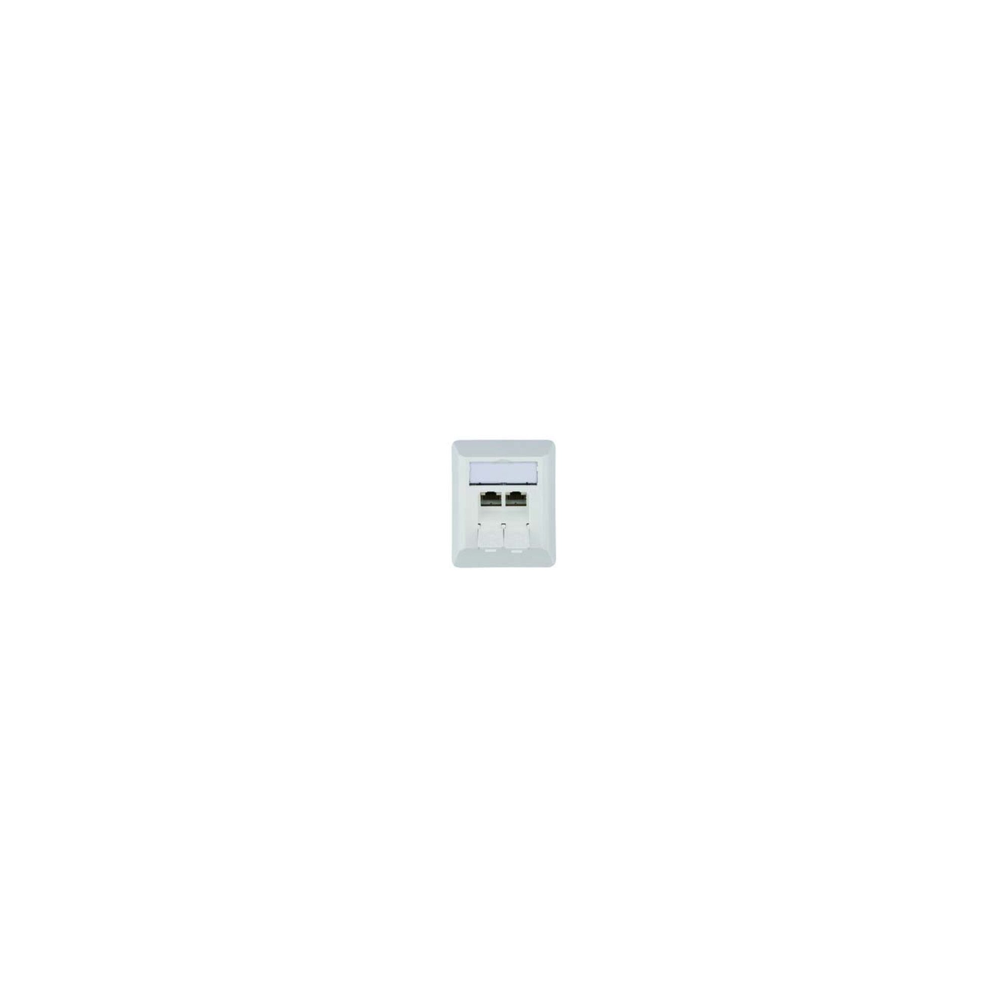Telegärtner Grundkörper Telegärtner Anschlussdose AMJ45 8/8K Ap Cat6A aws 80x65mm 100023002