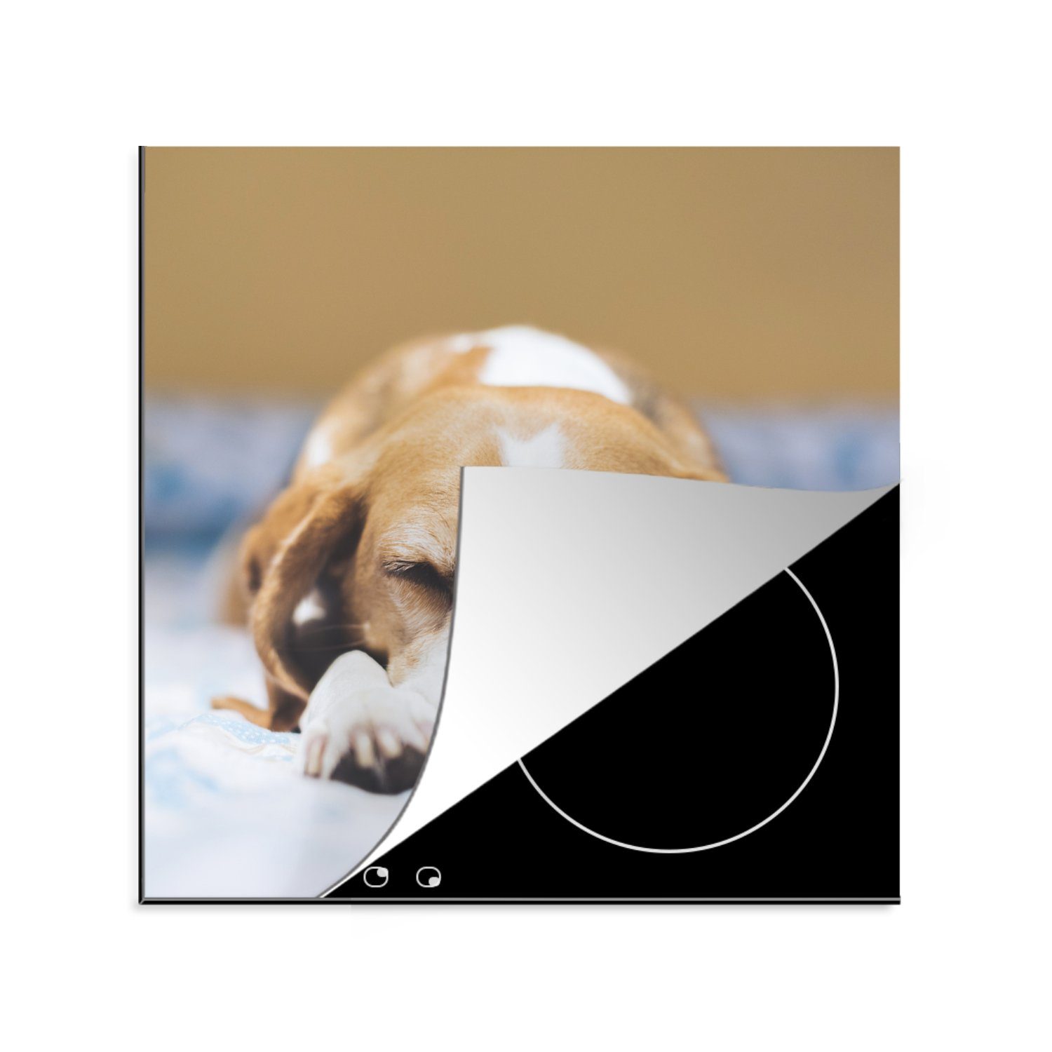 MuchoWow Herdblende-/Abdeckplatte Schlafender Beagle-Welpe auf einem Bett, Vinyl, (1 tlg), 78x78 cm, Ceranfeldabdeckung, Arbeitsplatte für küche