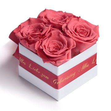 ROSEMARIE SCHULZ Heidelberg Dekoobjekt Infinity Rosenbox Alles Liebe zum Geburtstag Blumen Geschenk, Echte Rose haltbar bis zu 3 Jahre