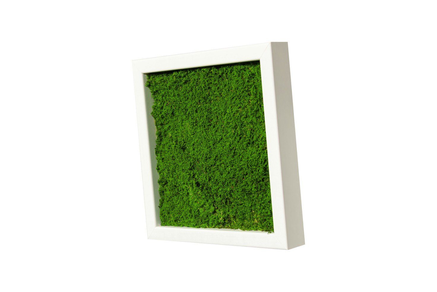 Moos-Design Bild Moosbild Flat Design mit 100% Flachmoos