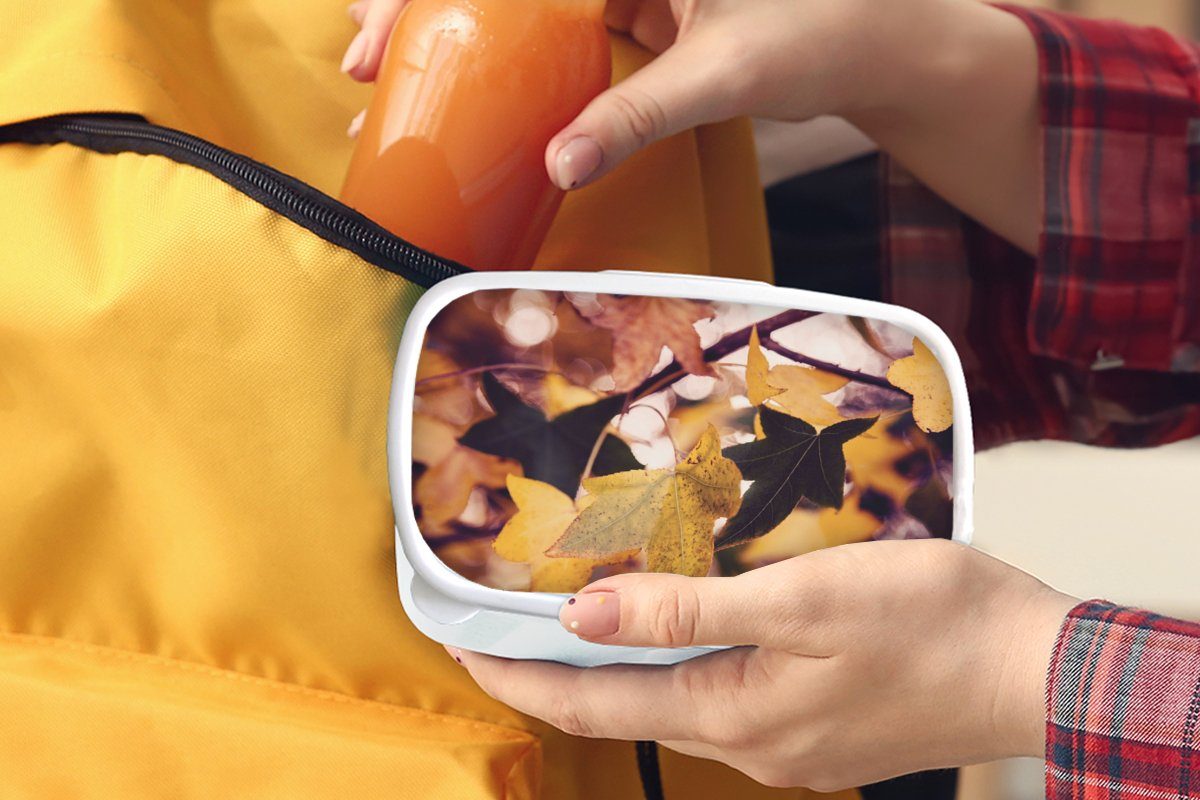 Lunchbox Blätter - und - Kinder Kunststoff, Jungs Herbst für MuchoWow Brotdose, für Ahorn weiß (2-tlg), - Jahreszeiten, Erwachsene, und Mädchen Brotbox
