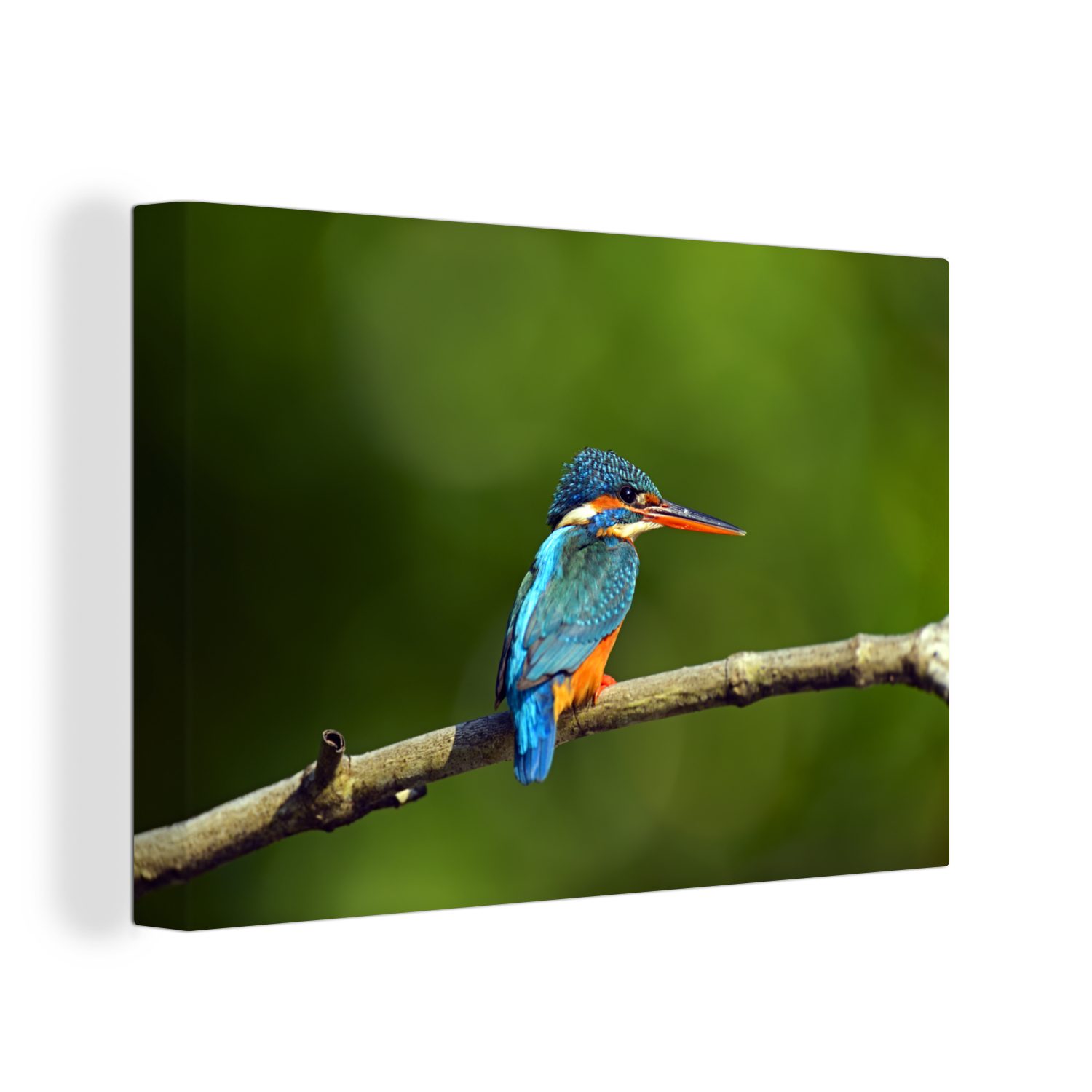OneMillionCanvasses® Leinwandbild Sri Lanka Leinwandbilder, (1 Wandbild cm - 30x20 Aufhängefertig, - Wanddeko, St), Eisvogel, Wildtiere