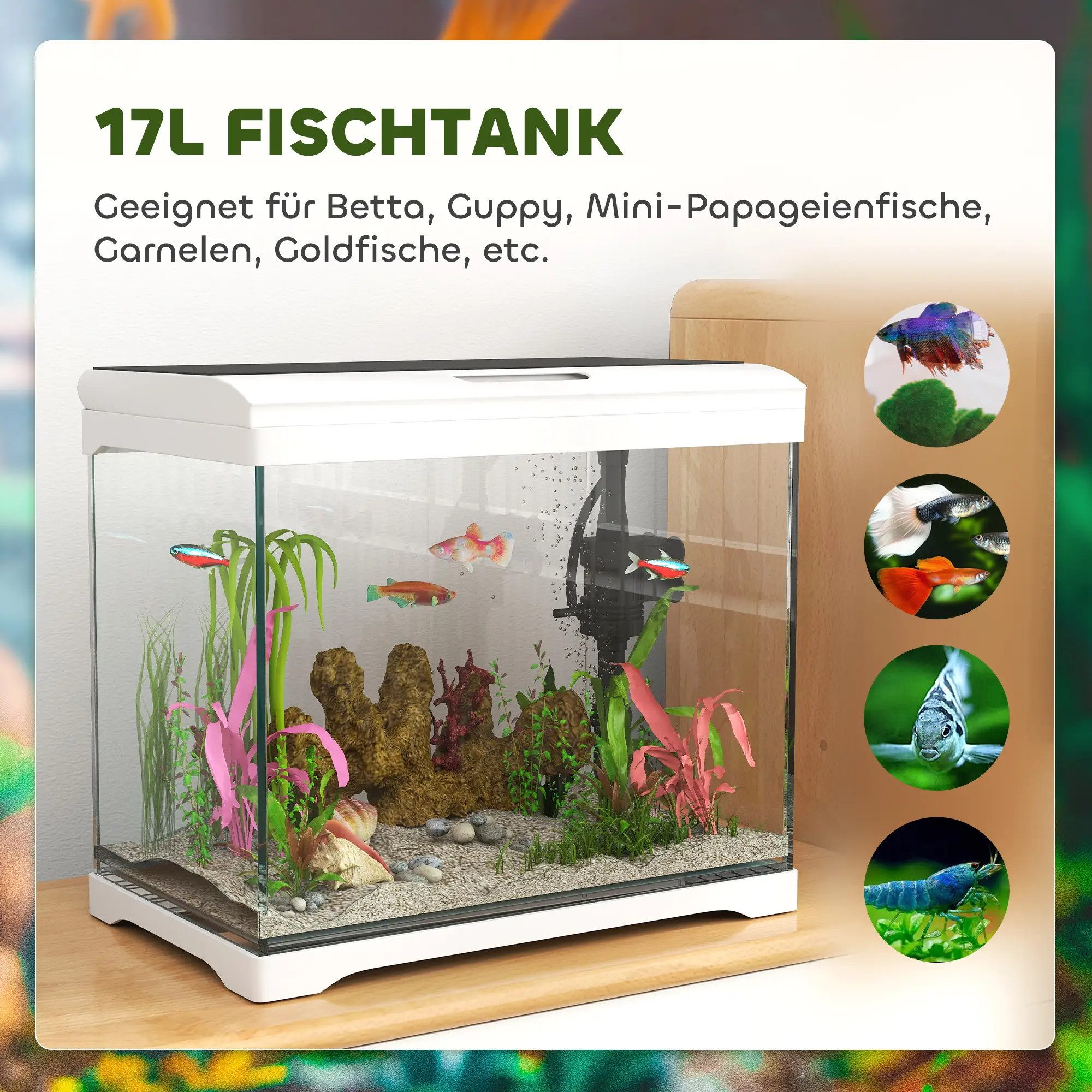 Thumbnail - BlingBin Aquarien-Set 17 L Tropenfischaquarium, Aquarium mit LED-Leuchten, 35 x 21 x 31 cm Fischtank mit Wasserpumpe, kl...