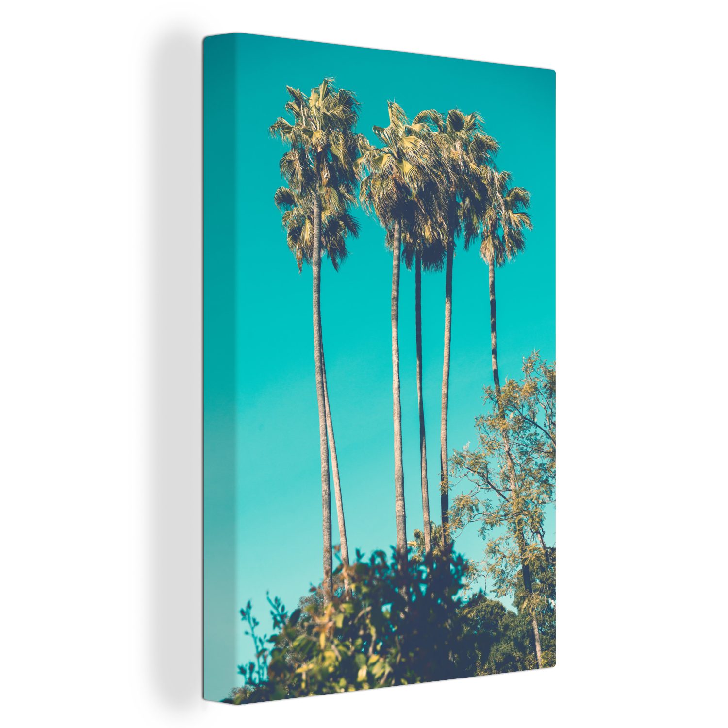 OneMillionCanvasses® Leinwandbild Palmen - Kalifornien - Sommer, (1 St), Leinwandbild fertig bespannt inkl. Zackenaufhänger, Gemälde, 20x30 cm