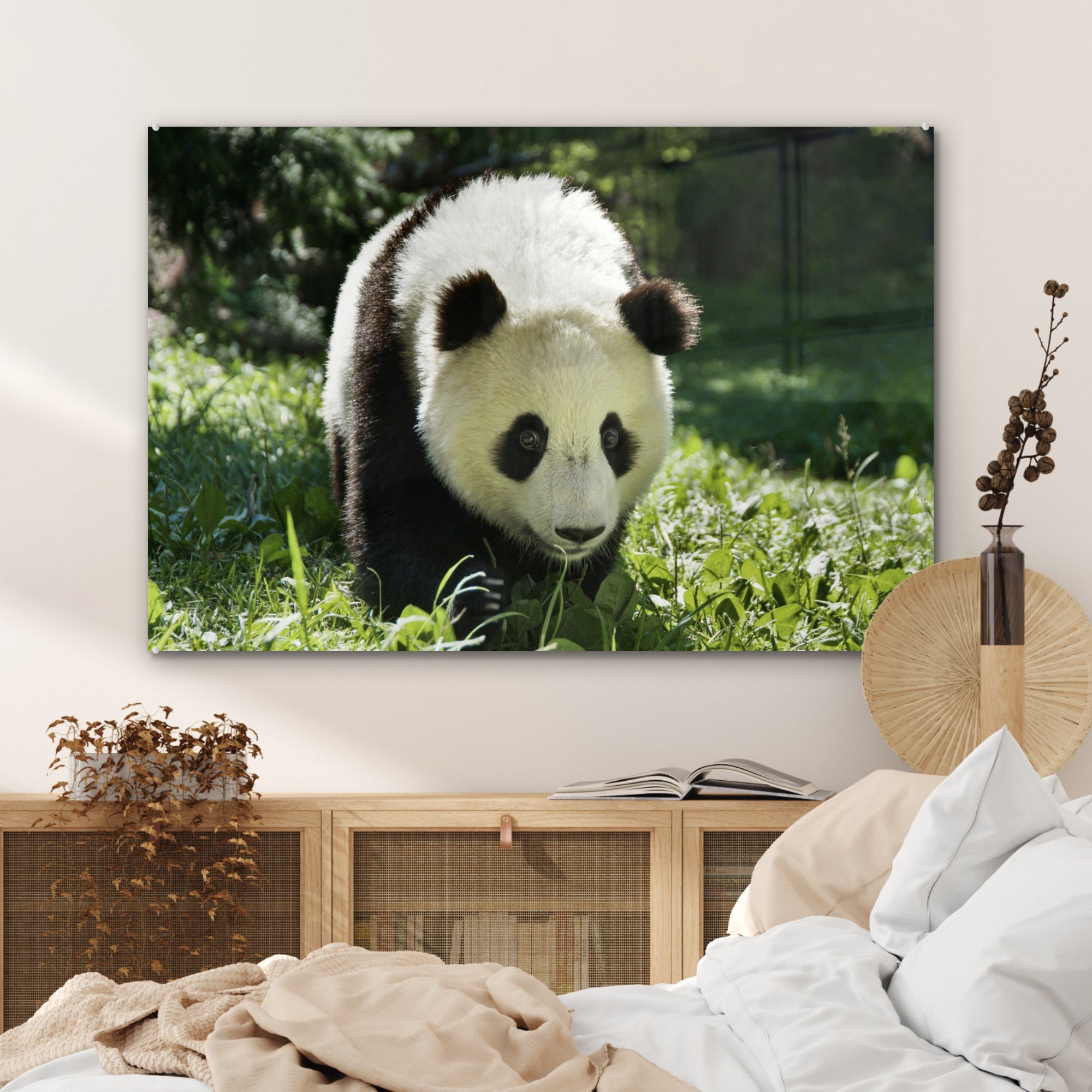 & Wohnzimmer Tier, Schlafzimmer Acrylglasbilder Panda St), Gras - Acrylglasbild - (1 MuchoWow