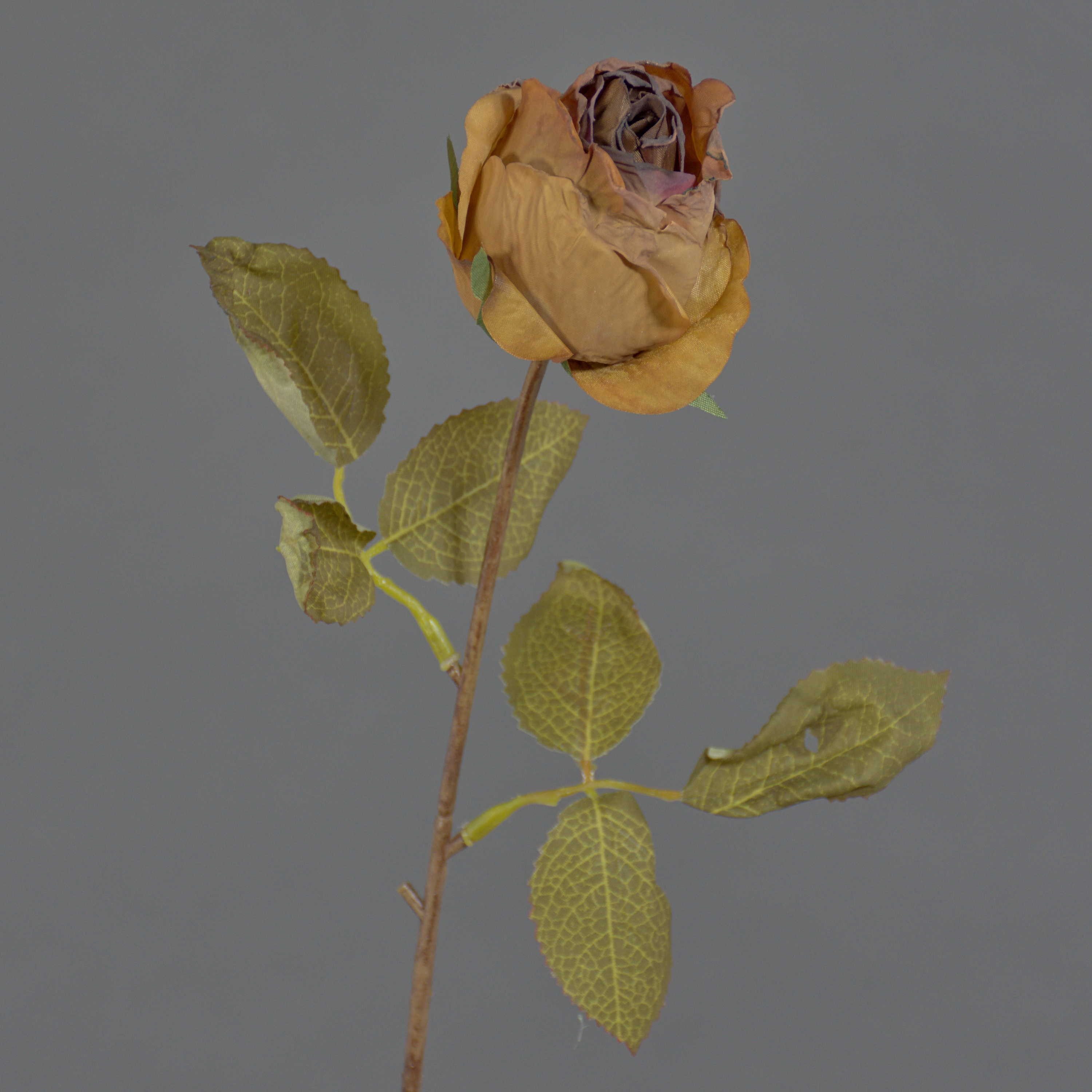 Kunstblume Künstliche Rose GROLK, Trockenoptik, braun, 45cm Rose, artplants, Höhe 45.0 cm