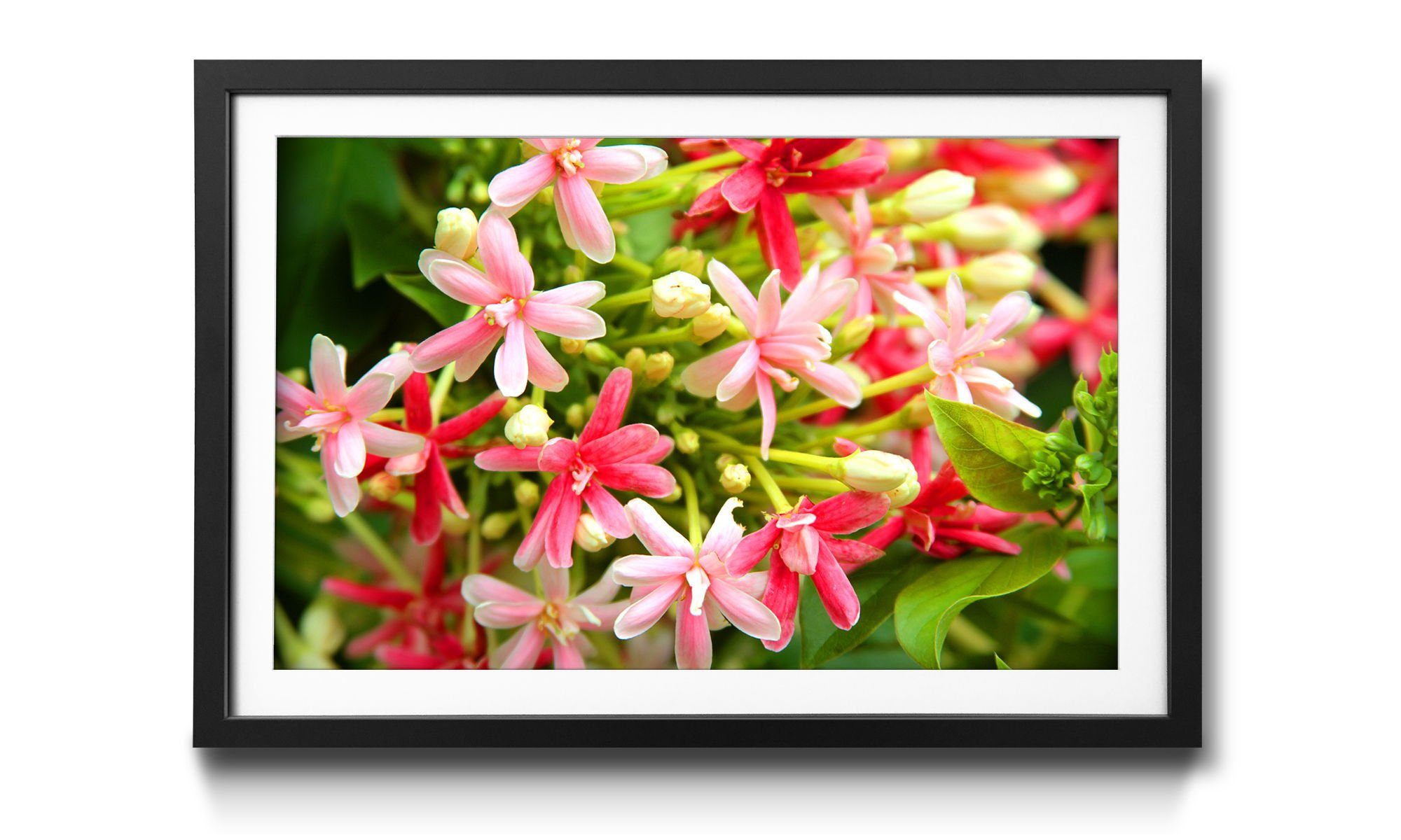 WandbilderXXL Bild Rahmen Größen erhältlich Wandbild, Blumen, mit Moment, in Pink 4