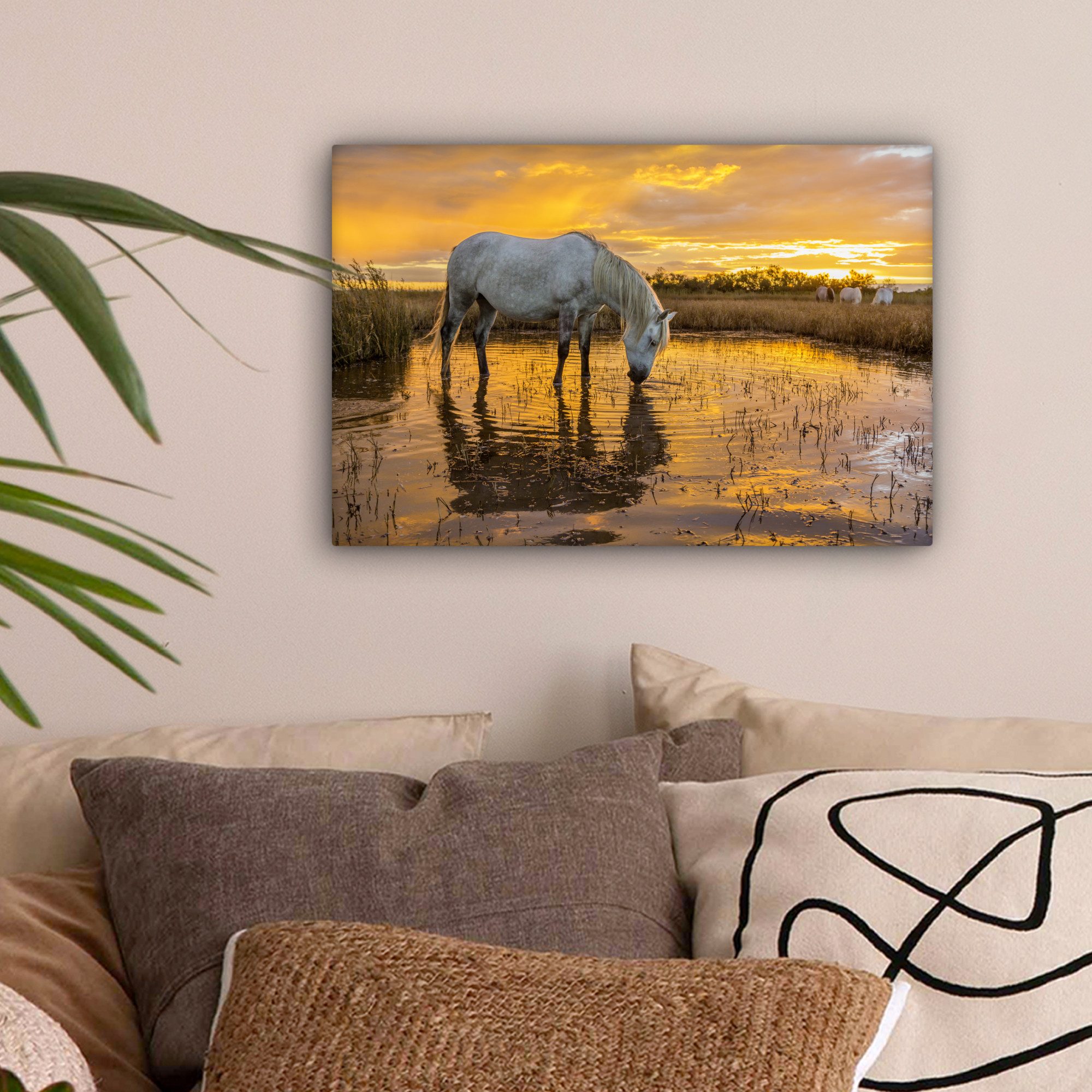 OneMillionCanvasses® Leinwandbild Pferde trinken bei Sonnenuntergang günstig online kaufen