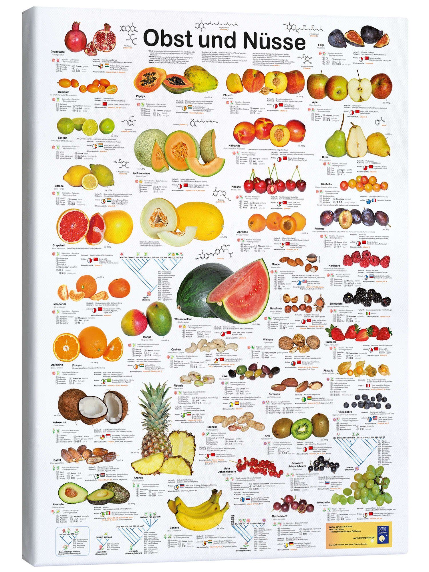 Posterlounge Poster Planet Poster Editions, Obst günstig online kaufen