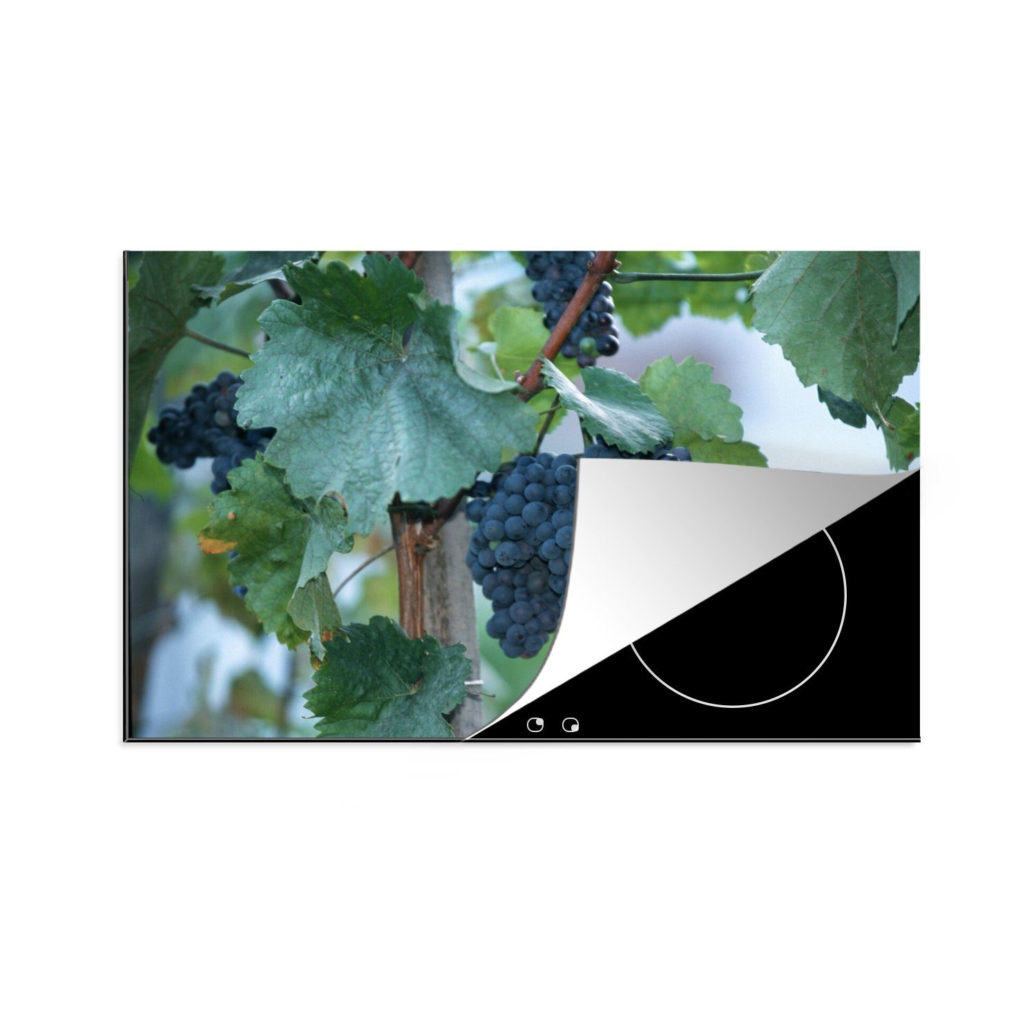 MuchoWow Herdblende-/Abdeckplatte Weintrauben die Induktionskochfeld 81x52 tlg), cm, Rebe, Ceranfeldabdeckung Schutz für einer Vinyl, küche, (1 an