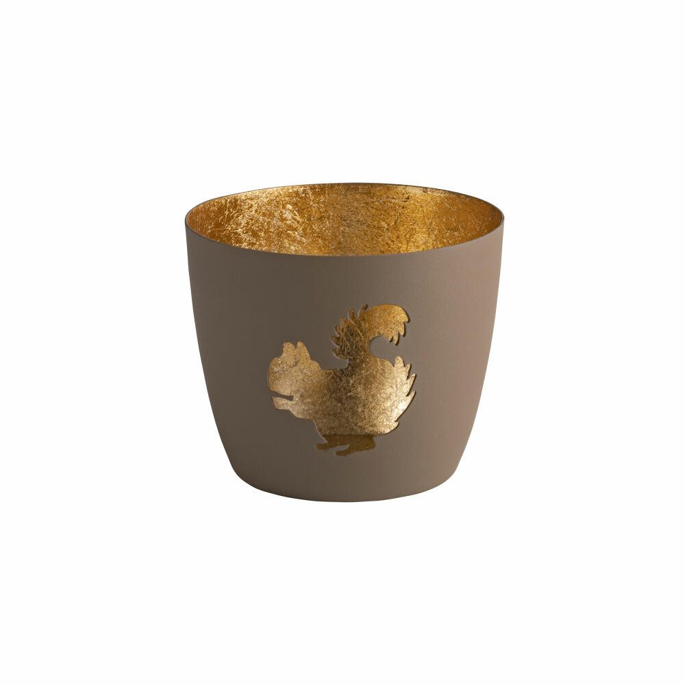 Giftcompany Windlicht Madras Eichhörnchen M sandstone, günstig online kaufen