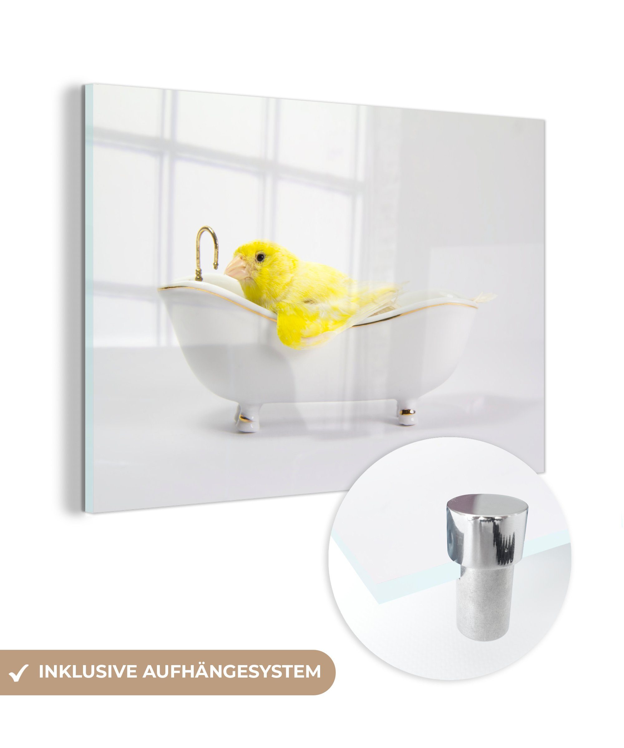 MuchoWow Acrylglasbild Gelber Kanarienvogel auf weißem Hintergrund in der Badewanne, (1 St), Acrylglasbilder Wohnzimmer & Schlafzimmer