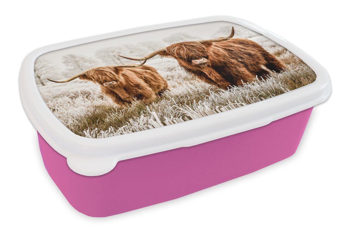 MuchoWow Lunchbox Schottischer Hochländer - Winter, Brotdose Mädchen, Natur Brotbox Kunststoff, für Erwachsene, (2-tlg), Kinder, - Snackbox, - rosa Kuh Kunststoff