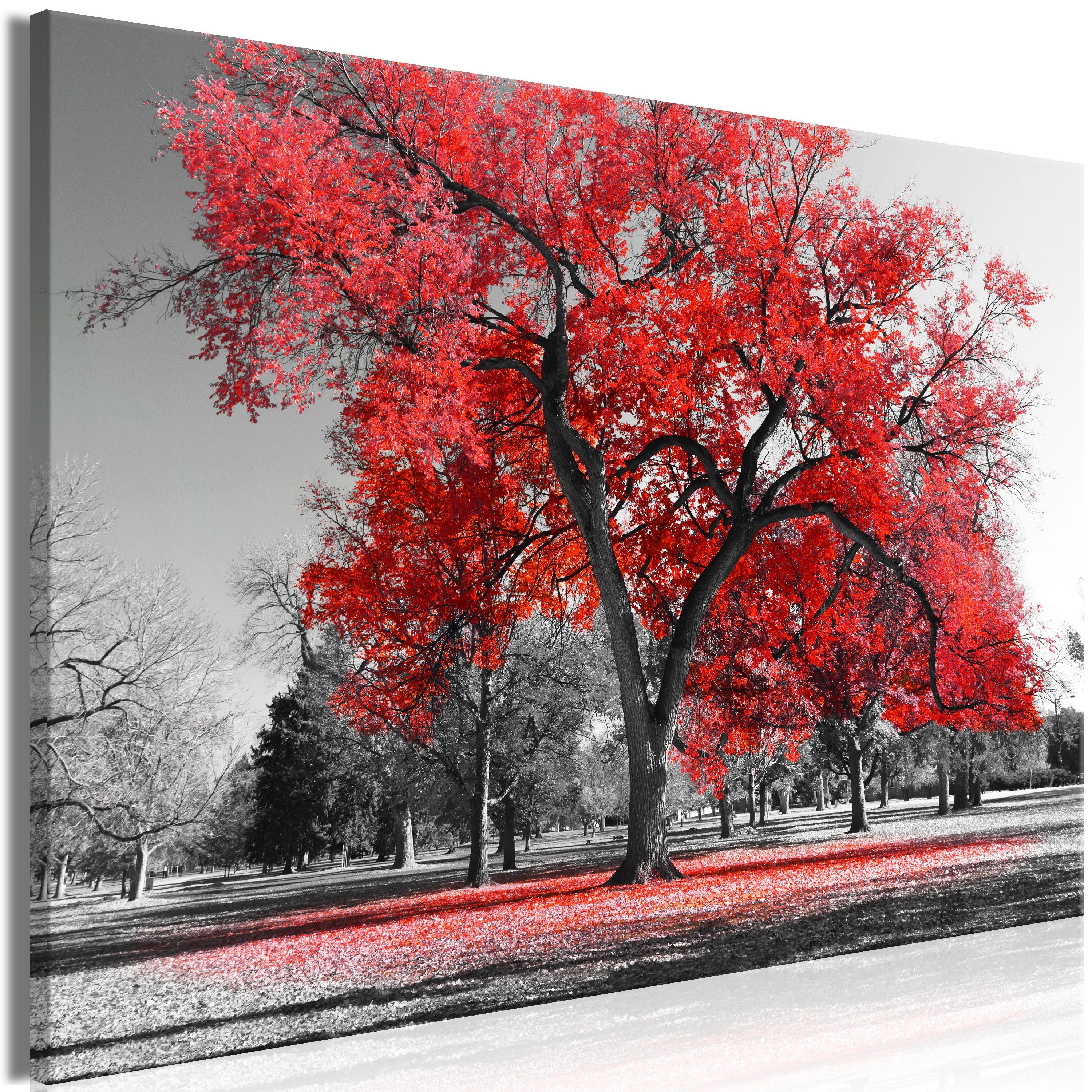 Artgeist Wandbild Autumn in the Park (1 Part) Wide Red