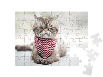 puzzleYOU Puzzle Verärgerte Katze, 48 Puzzleteile, puzzleYOU-Kollektionen Katzen-Puzzles