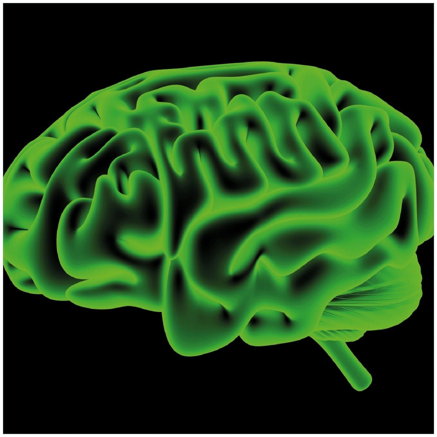 Menschliches Farbe grüner Gehirn in leuchtend Wallario Memoboard