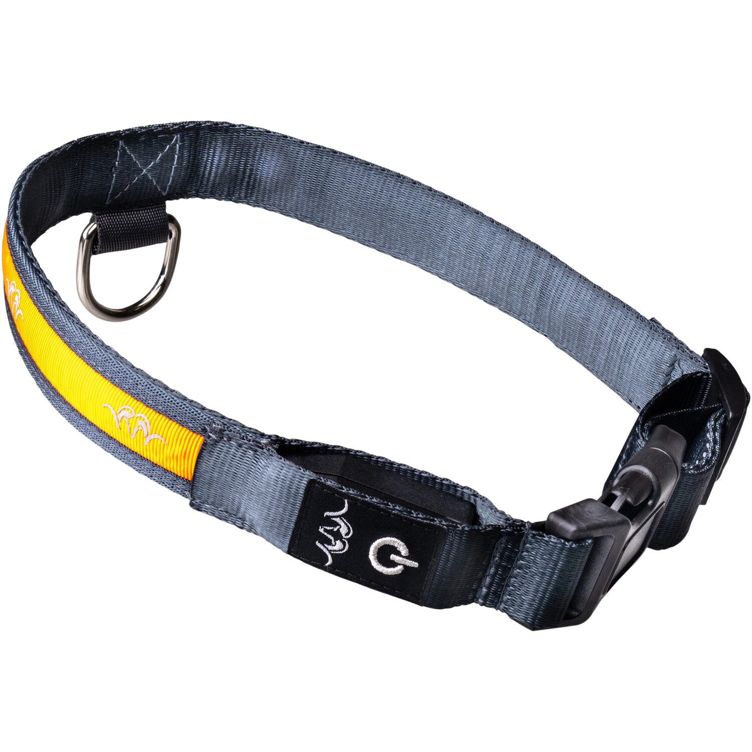 Blaser Leuchthalsband Halsband LED