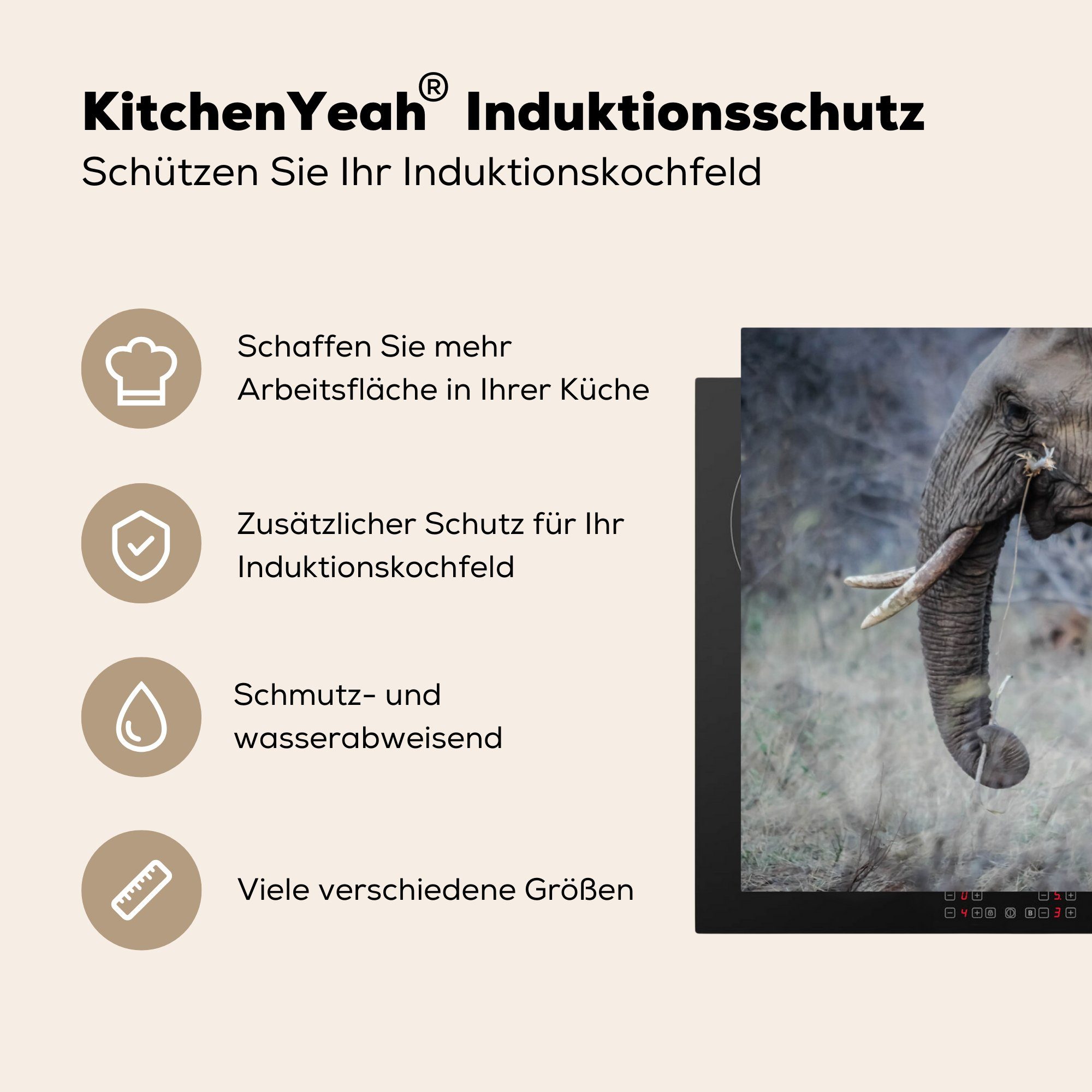 cm, tlg), - - küche, für Herdblende-/Abdeckplatte Schutz Ceranfeldabdeckung Induktionskochfeld 81x52 MuchoWow Elefant Vinyl, (1 die Gras, Kalb