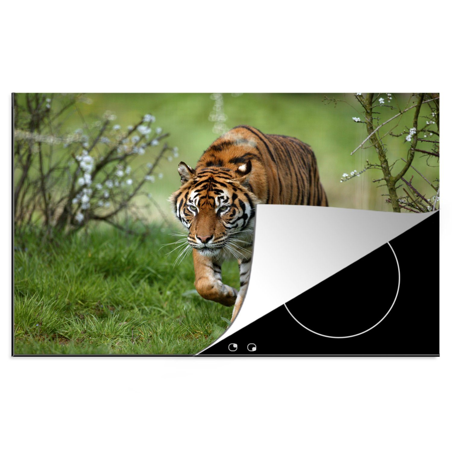 MuchoWow Herdblende-/Abdeckplatte Nahaufnahme eines Sumatra-Tigers, Vinyl, (1 tlg), 81x52 cm, Induktionskochfeld Schutz für die küche, Ceranfeldabdeckung