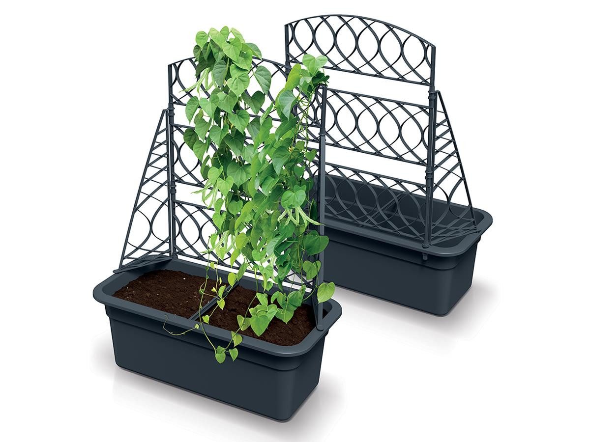 Prosperplast Blumenkasten mit Pergola (Bloma), mit Rankhilfe