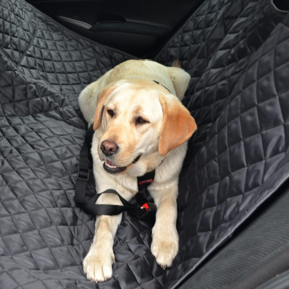 tierlando® Tier-Autoschondecke Autoschondecke MAX Auto Hundedecke günstig online kaufen