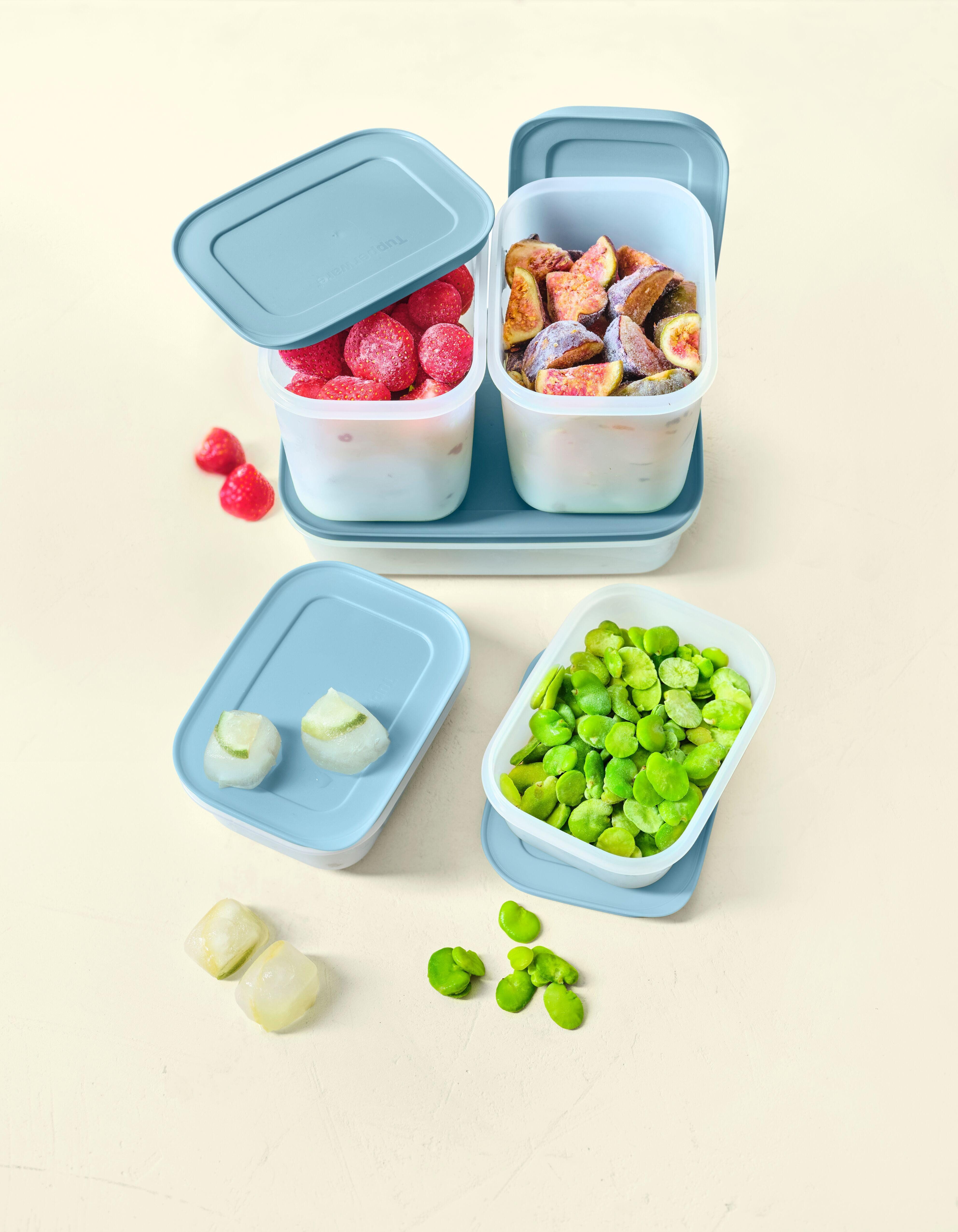 TUPPERWARE Vorratsdose TUPPERWARE Gefrier-Behälter Eiskristall Set 5tlg hellblau