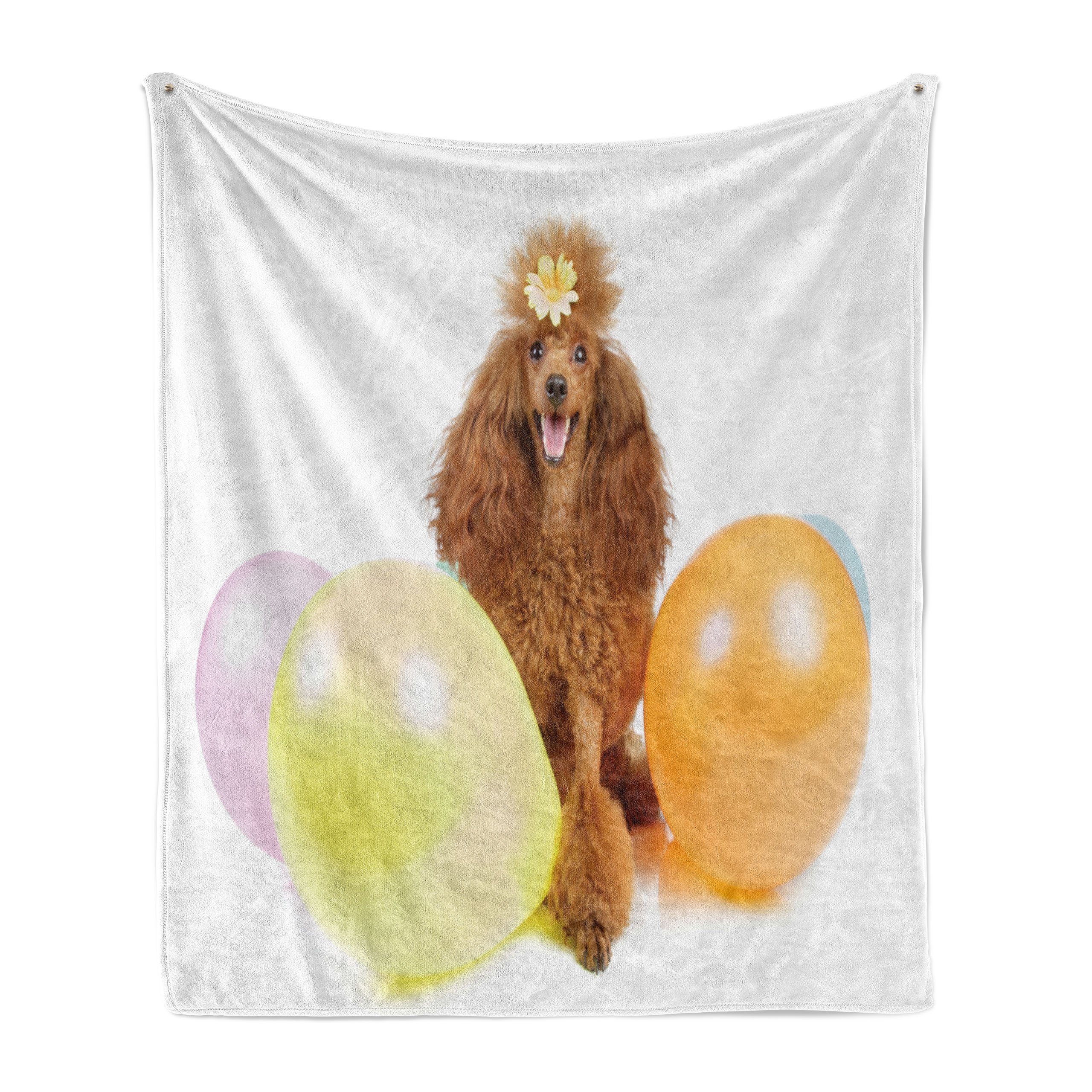 Wohndecke Gemütlicher Plüsch für den Innen- und Außenbereich, Abakuhaus, Pudel Funny Dog Party machen Ballone