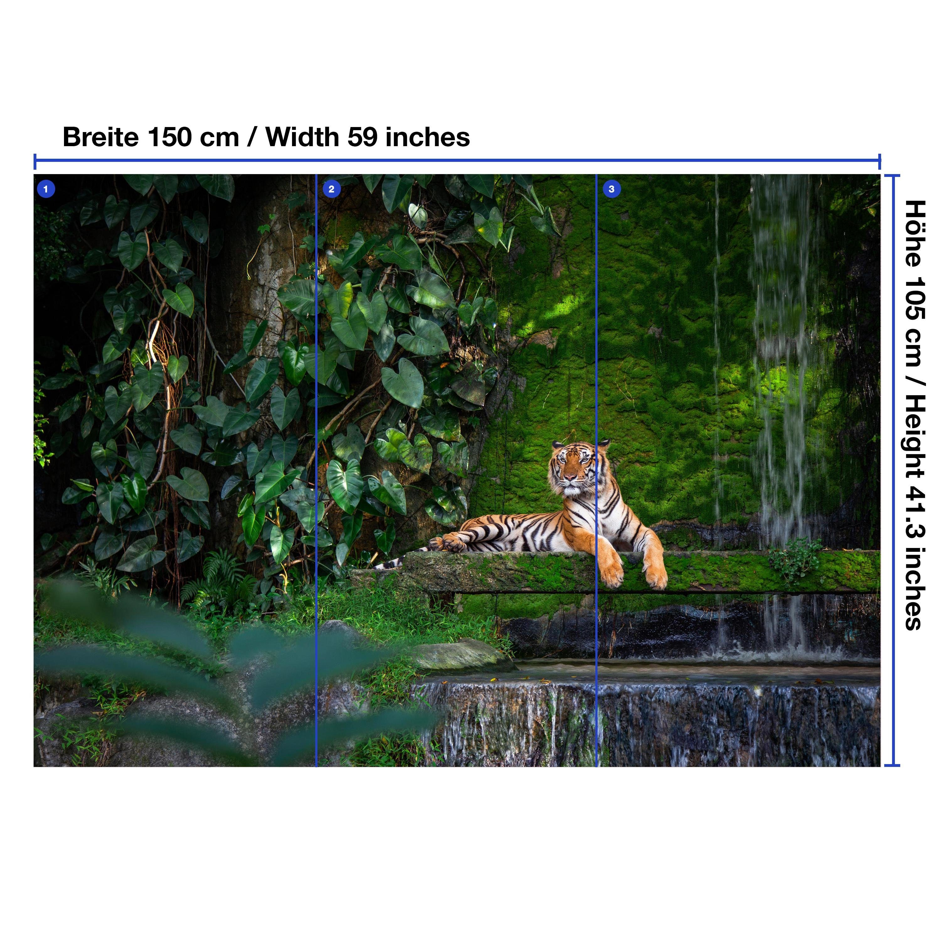 Tiger, Urwald, Vliestapete Motivtapete, Fototapete Wandtapete, Wald mit wandmotiv24 matt, glatt,