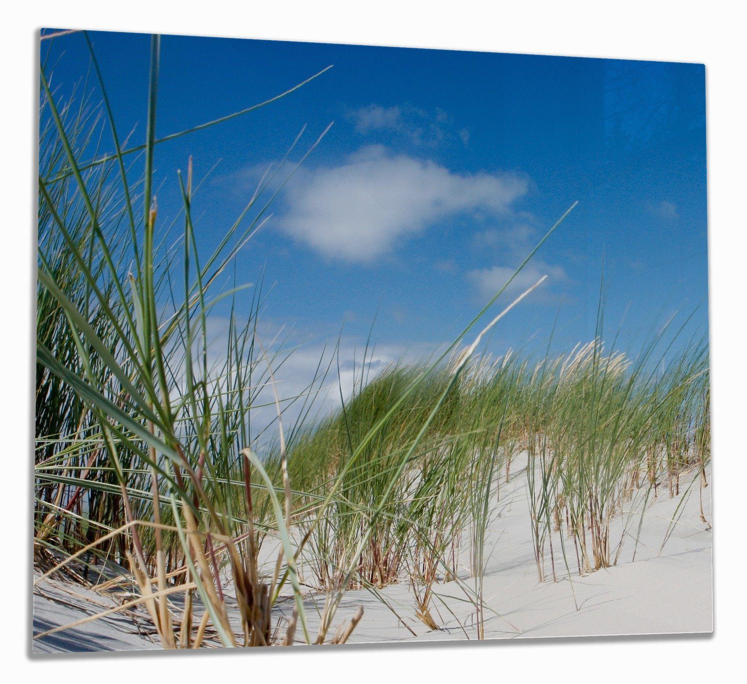 Wallario Herd-Abdeckplatte Düne am Strand unter blauem Himmel, ESG-Sicherheitsglas, (Glasplatte, 1 tlg., inkl. 5mm Noppen), verschiedene Größen