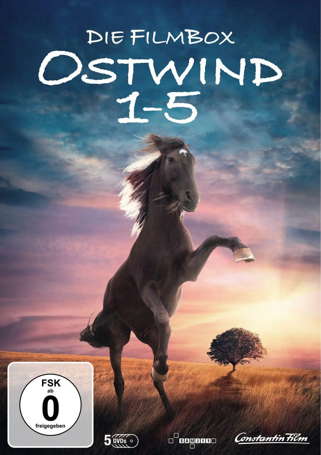 DVD Ostwind 1-5