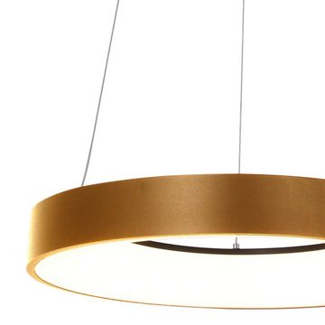 Steinhauer LIGHTING LED Pendelleuchte, Pendellampe Esstischleuchte Hängelampe gold Wohnzimmerlampe Ring LED H