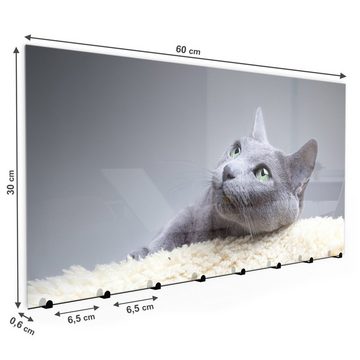Primedeco Garderobenpaneel Magnetwand und Memoboard aus Glas Graue Katze