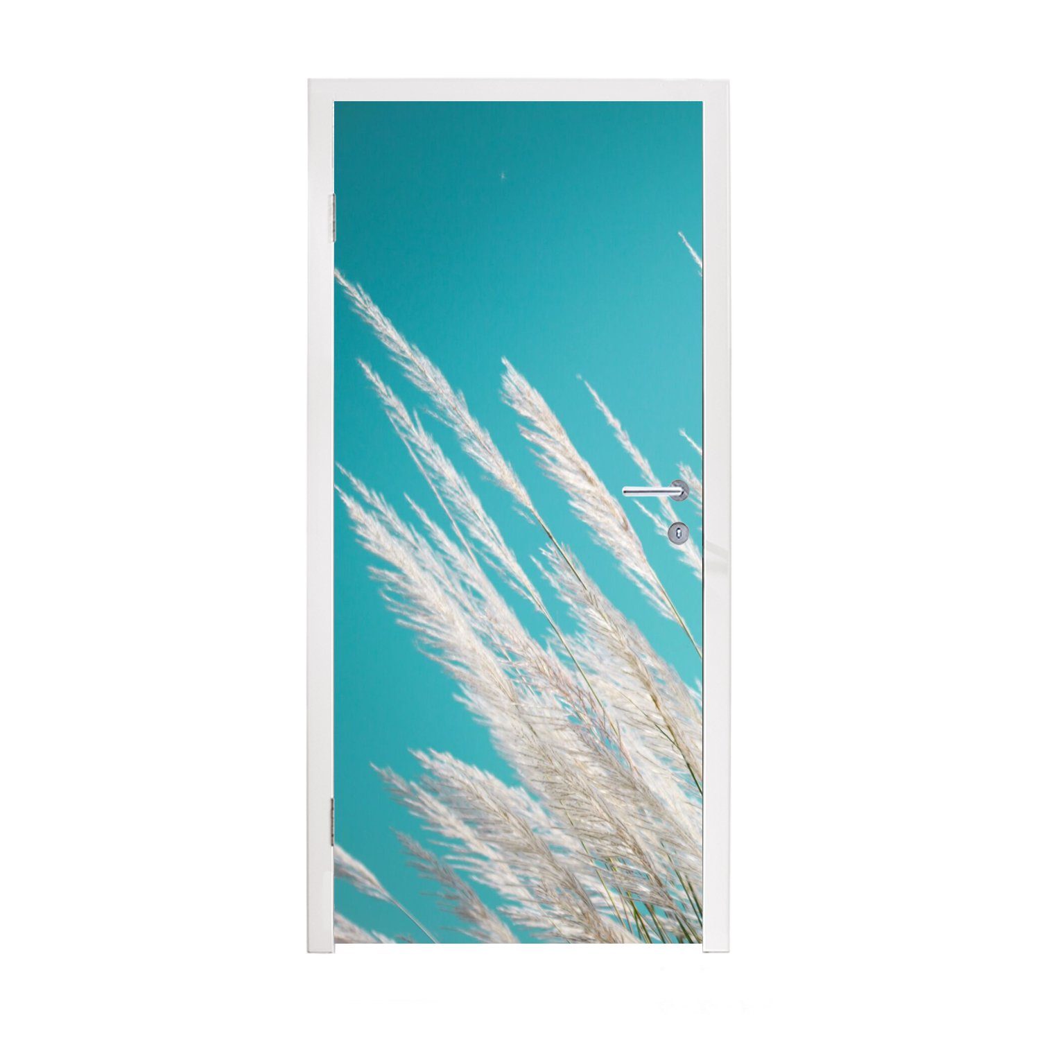Türaufkleber, - (1 MuchoWow Fototapete Pflanze, Matt, bedruckt, Tür, Türtapete Pampasgras St), 75x205 für cm