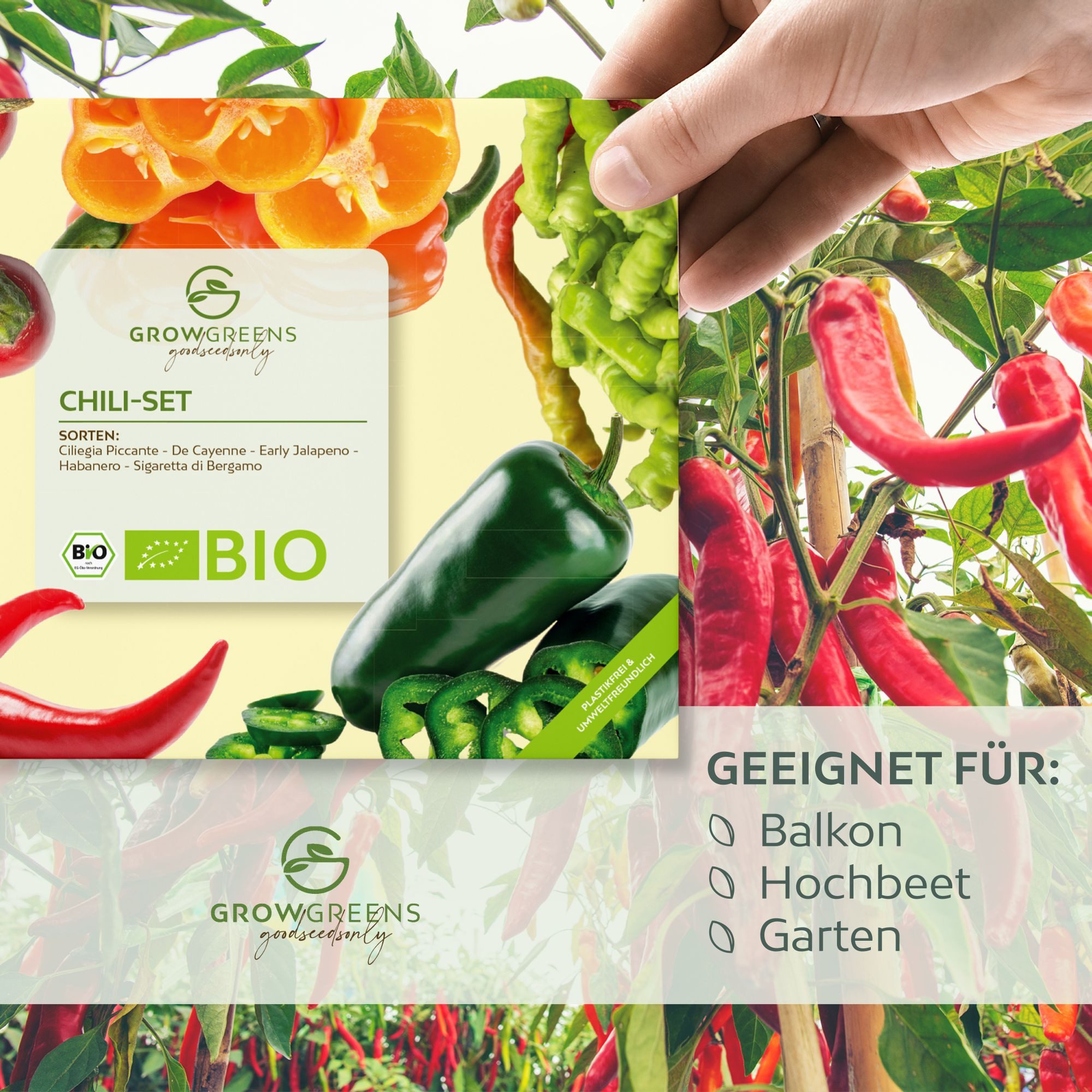 Growgreens Gemüsesamen BIO Chili Samen 5er Set - Chili Saatgut aus biologischem Anbau, Chili – Bild 5 von 5