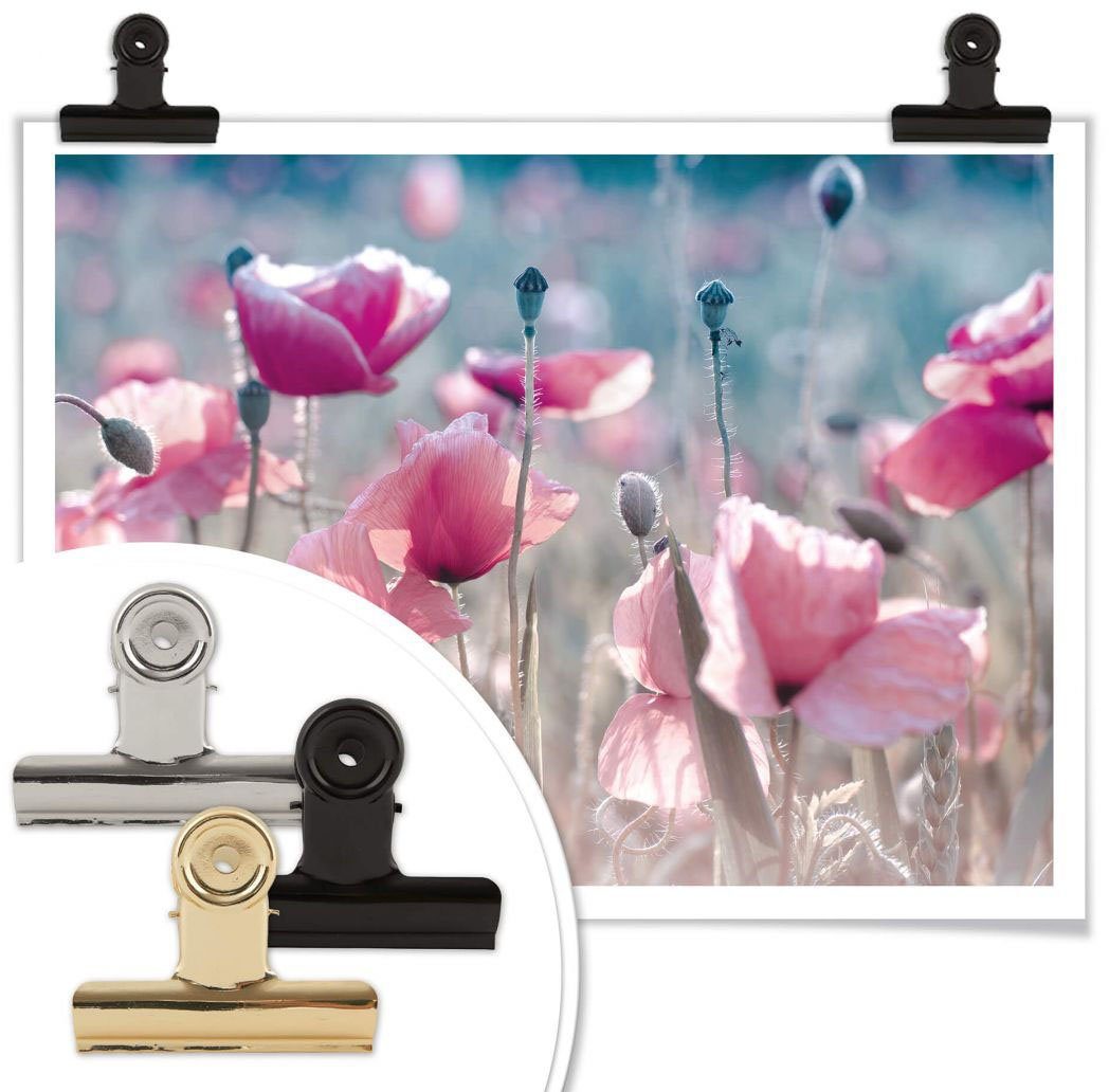 (1 Wall-Art Poster Wiese, Blumen St) Mohnblumen