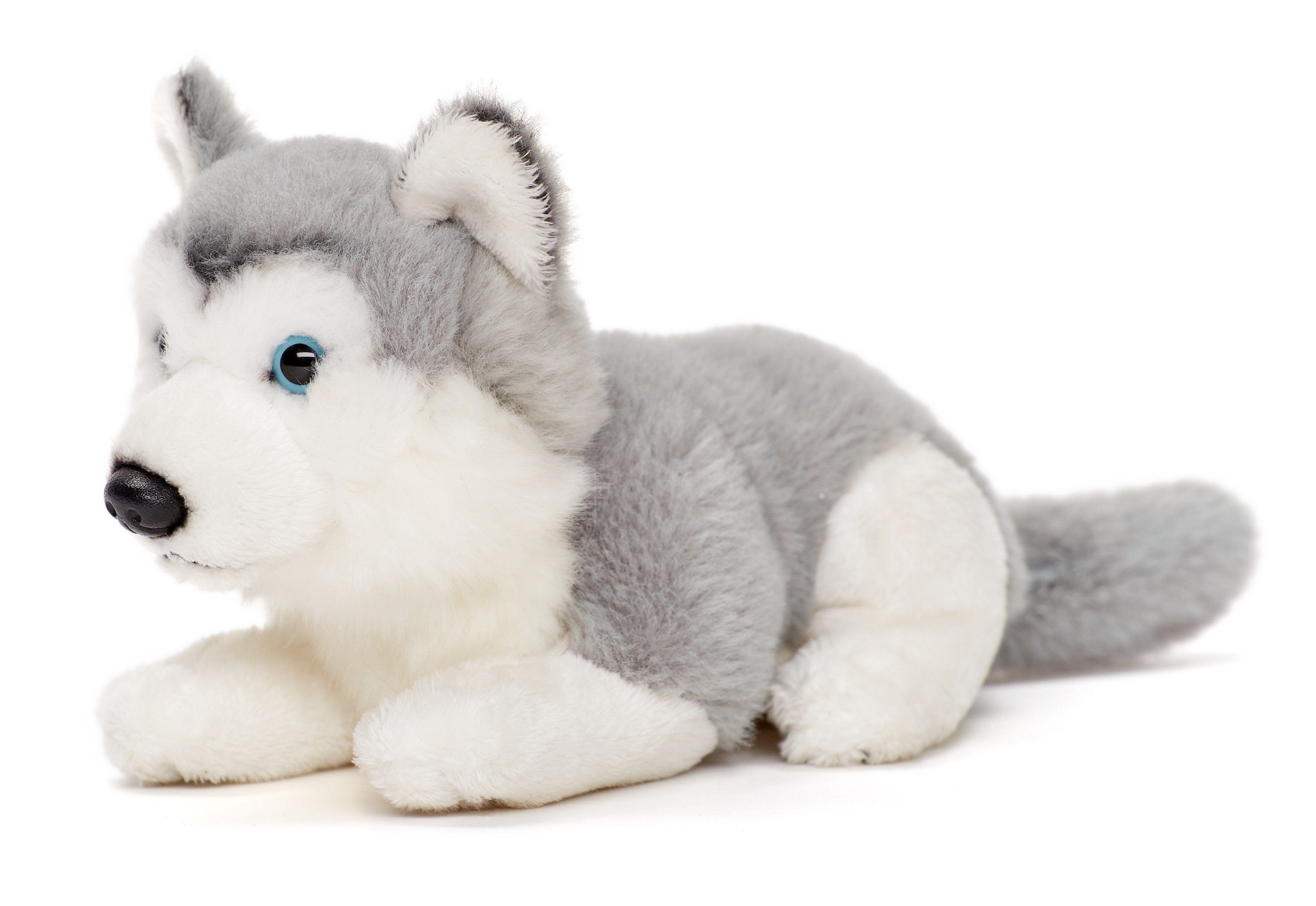 Uni-Toys Kuscheltier Husky grau, klein - liegend oder sitzend - Plüsch-Hund günstig online kaufen