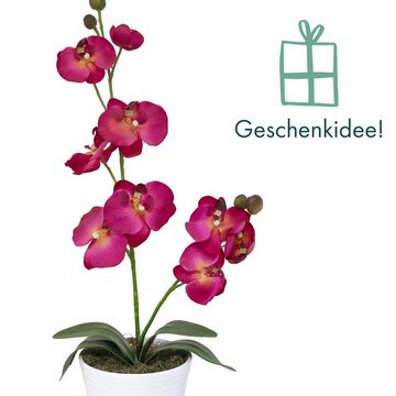 Kunstorchidee Orchidee Kunstblume Blume künstlich orchideentopf wie echt 1252, PassionMade, Höhe 60 cm, Dekoblume Dekoorchidee