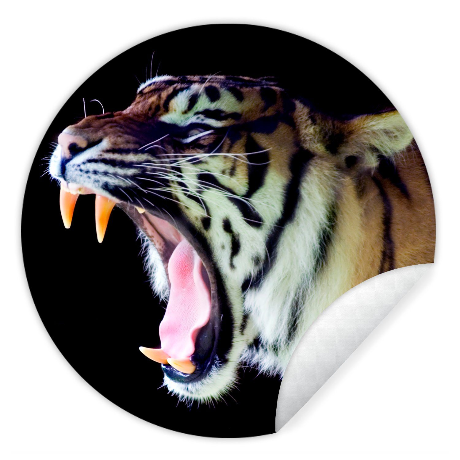 MuchoWow Wandsticker Tiger - Zähne - Porträt (1 St), Tapetenkreis für Kinderzimmer, Tapetenaufkleber, Rund, Wohnzimmer