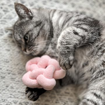 Aumüller Tiertau Katzenspielzeug Knotenkissen Pastell - gefüllt mit Katzenminze