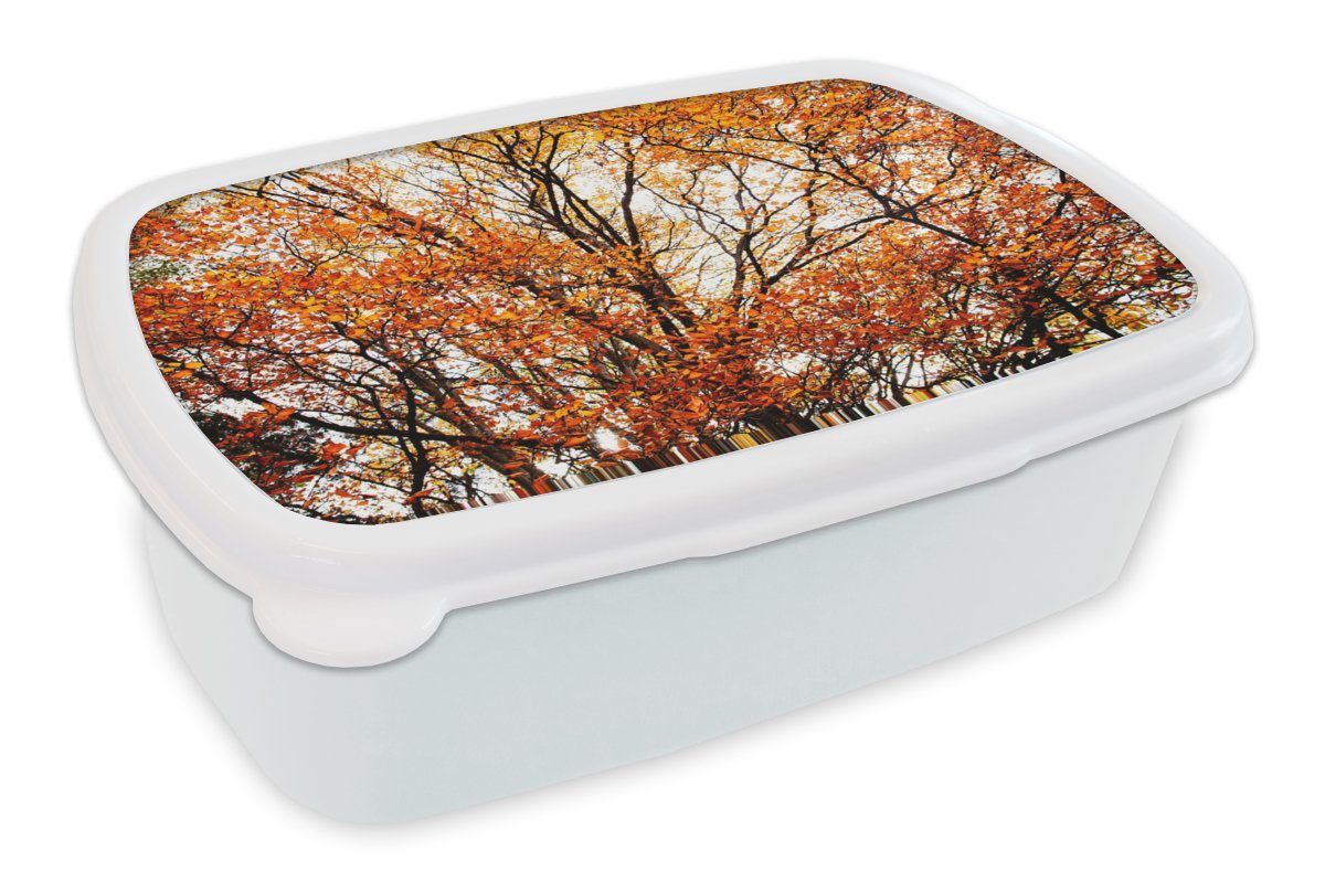 für Kunststoff, Lunchbox weiß für Brotdose, Kinder und - und Wald Jungs (2-tlg), Brotbox - MuchoWow Mädchen Jahreszeiten, Herbst Erwachsene,