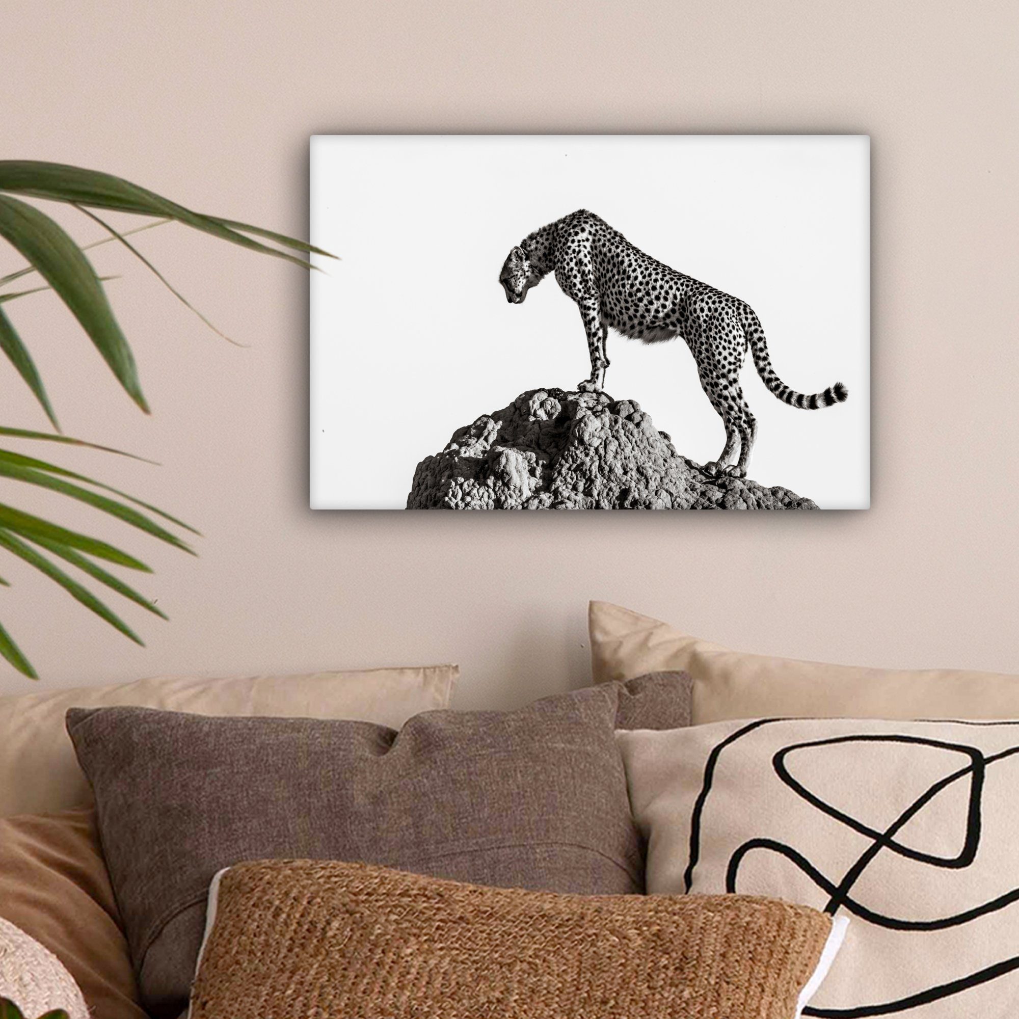 OneMillionCanvasses® Leinwandbild Raubtier - Panther - günstig online kaufen