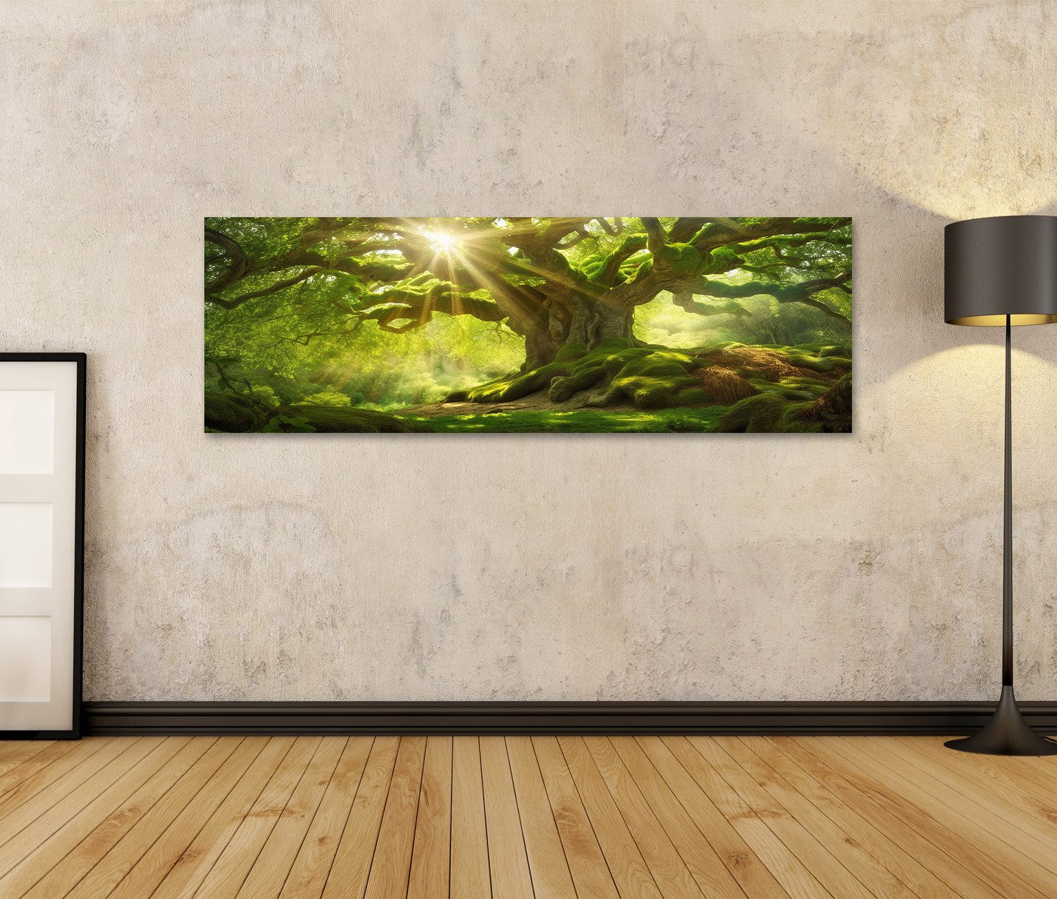 islandburner Leinwandbild Sonnenstrahlen auf altem Baum günstig online kaufen